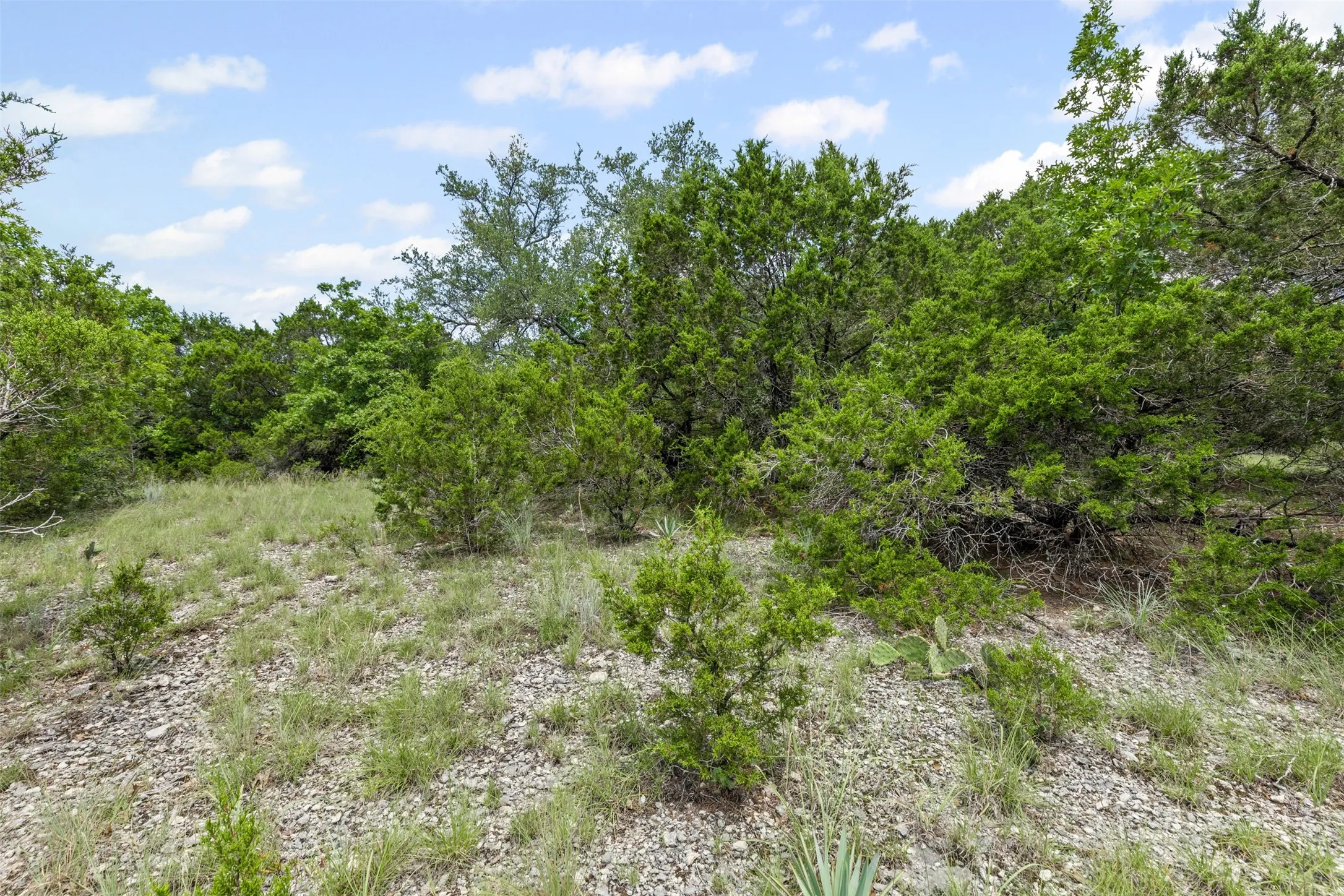 Unimproved Land For Sale in Johnson County , 8515 Hilltop Drive, Cleburne, Texas 76033, 0, 0, Garage spaces, 0 Sqft, built in 0, mls#21110824, Real Estate Agent in Cleburne, Homes For Sale in Johnson county, Homes For Sale in Cleburne, Realtor in Cleburne Texas, Real Estate Brokerage Independent Realty Texas, Luminita Cordes Realtor