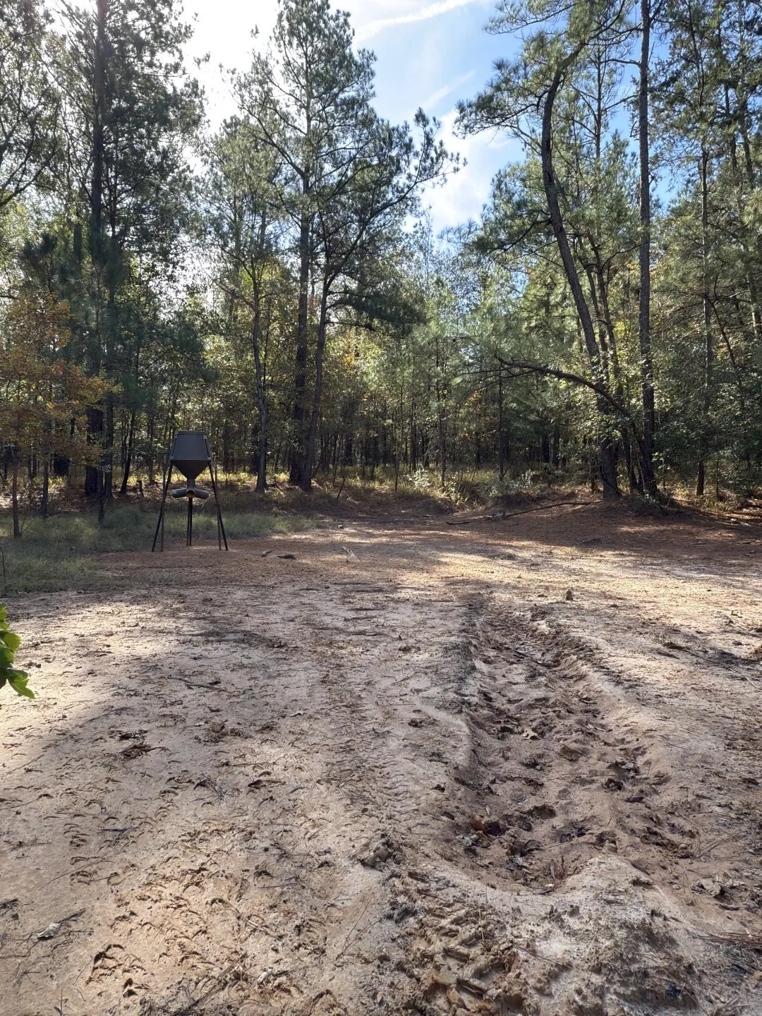 Unimproved Land For Sale in Harrison County , TBD-A Boggy Road, Waskom, Texas 75692, 0, 0, Garage spaces, 0 Sqft, built in 0, Price $425,425, mls#21112864, Real Estate Agent in Waskom, Homes For Sale in Harrison county, Homes For Sale in Waskom, Realtor in Waskom Texas, Real Estate Brokerage Independent Realty Texas, Luminita Cordes Realtor