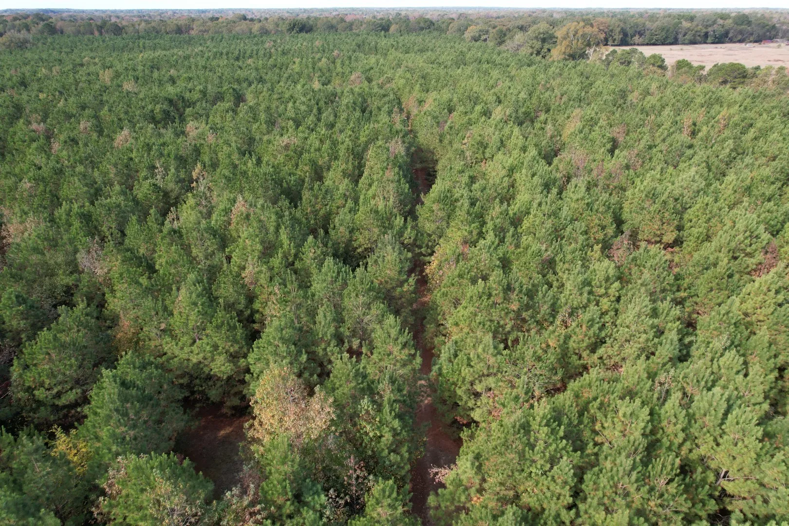 Unimproved Land For Sale in Harrison County , TBD-A Boggy Road, Waskom, Texas 75692, 0, 0, Garage spaces, 0 Sqft, built in 0, Price $425,425, mls#21112864, Real Estate Agent in Waskom, Homes For Sale in Harrison county, Homes For Sale in Waskom, Realtor in Waskom Texas, Real Estate Brokerage Independent Realty Texas, Luminita Cordes Realtor
