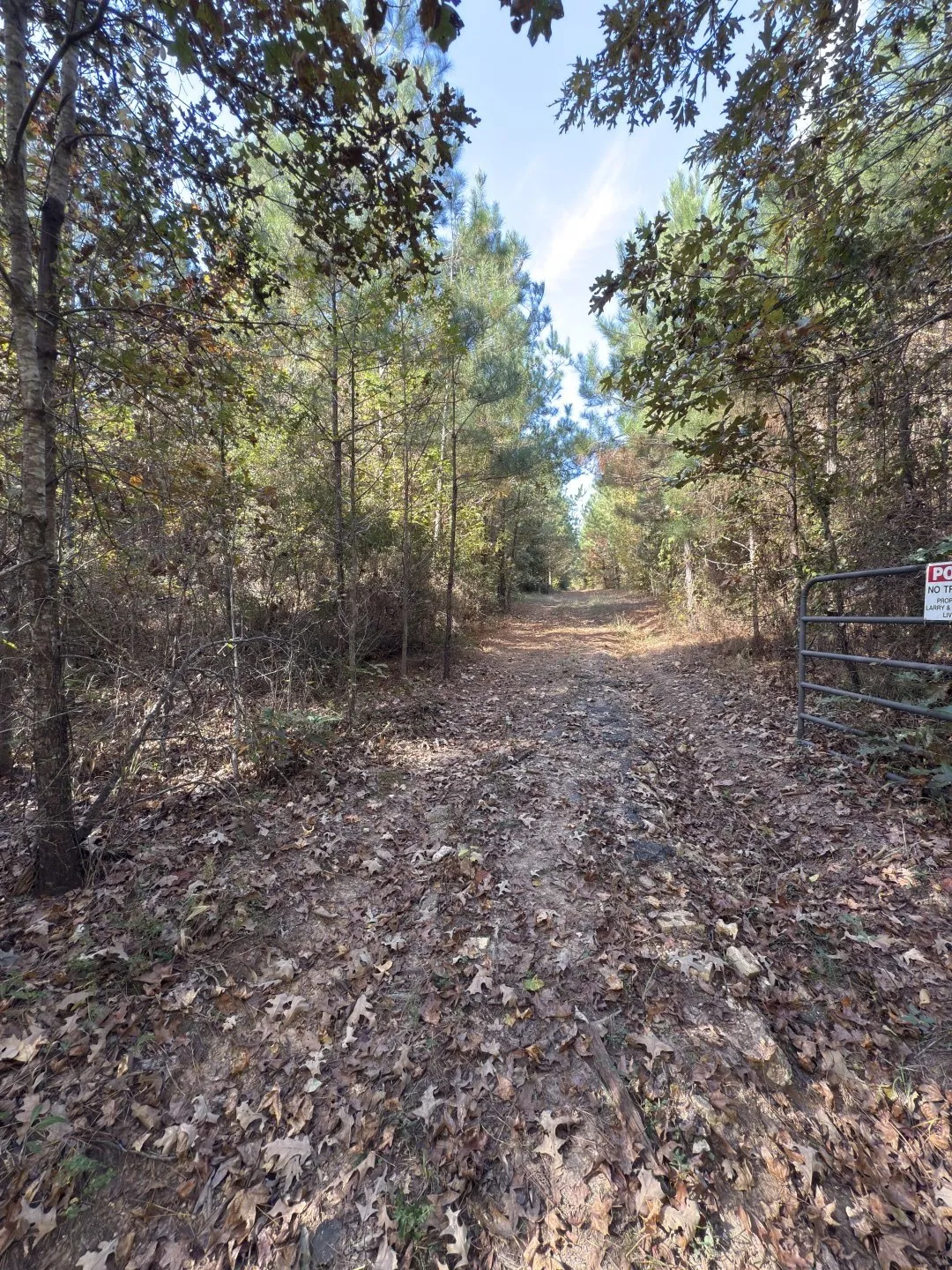 Unimproved Land For Sale in Harrison County , TBD-A Boggy Road, Waskom, Texas 75692, 0, 0, Garage spaces, 0 Sqft, built in 0, Price $425,425, mls#21112864, Real Estate Agent in Waskom, Homes For Sale in Harrison county, Homes For Sale in Waskom, Realtor in Waskom Texas, Real Estate Brokerage Independent Realty Texas, Luminita Cordes Realtor