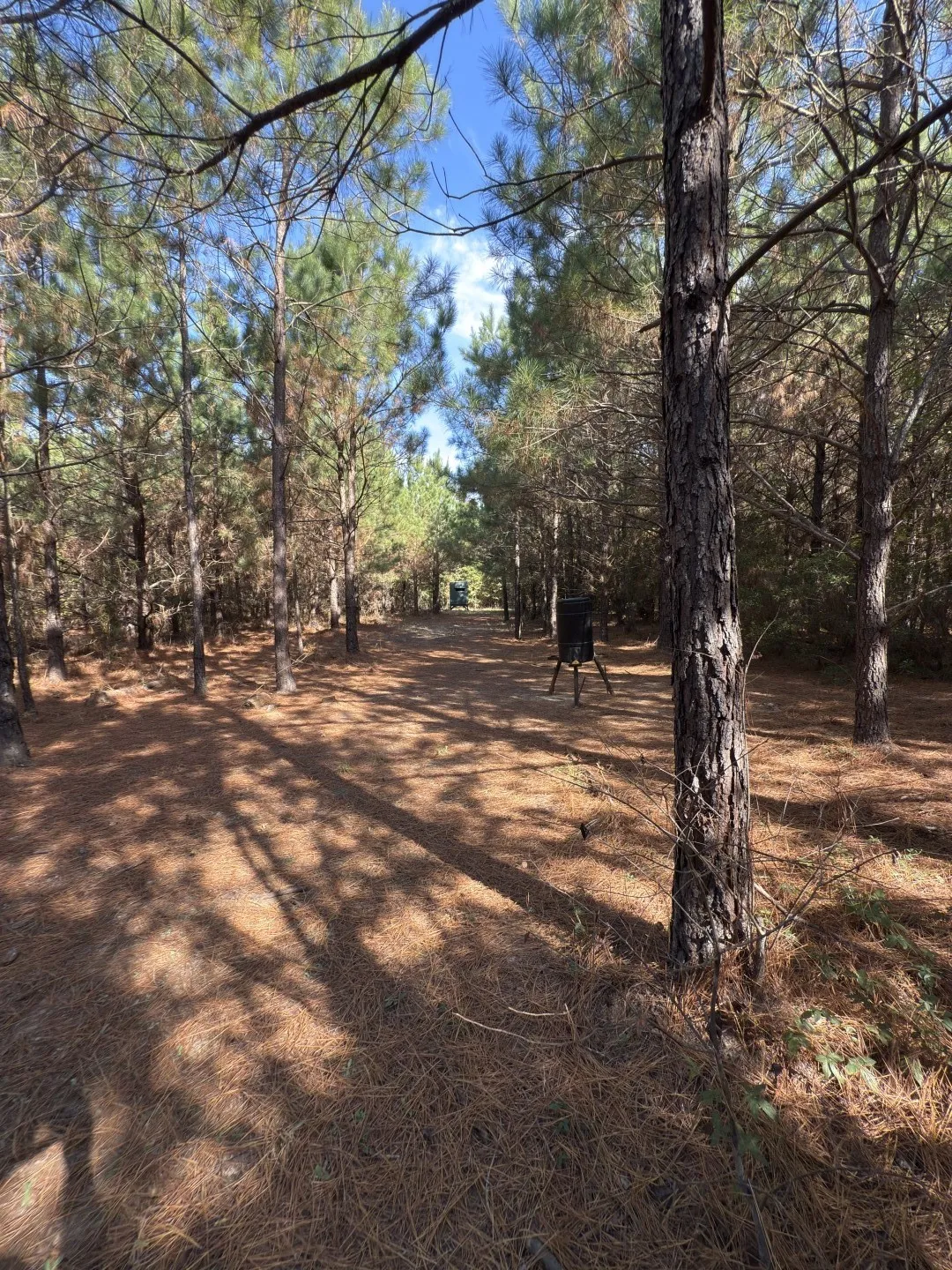 Unimproved Land For Sale in Harrison County , TBD-A Boggy Road, Waskom, Texas 75692, 0, 0, Garage spaces, 0 Sqft, built in 0, Price $425,425, mls#21112864, Real Estate Agent in Waskom, Homes For Sale in Harrison county, Homes For Sale in Waskom, Realtor in Waskom Texas, Real Estate Brokerage Independent Realty Texas, Luminita Cordes Realtor