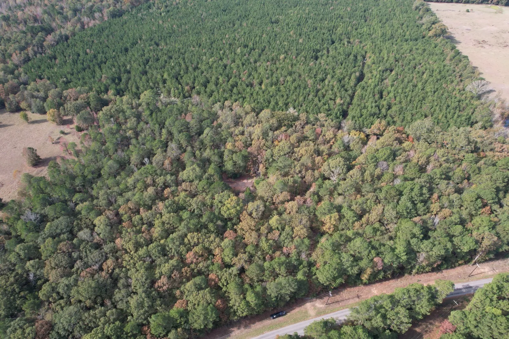 Unimproved Land For Sale in Harrison County , TBD-A Boggy Road, Waskom, Texas 75692, 0, 0, Garage spaces, 0 Sqft, built in 0, Price $425,425, mls#21112864, Real Estate Agent in Waskom, Homes For Sale in Harrison county, Homes For Sale in Waskom, Realtor in Waskom Texas, Real Estate Brokerage Independent Realty Texas, Luminita Cordes Realtor