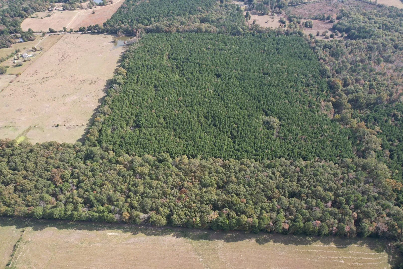 Unimproved Land For Sale in Harrison County , TBD-A Boggy Road, Waskom, Texas 75692, 0, 0, Garage spaces, 0 Sqft, built in 0, Price $425,425, mls#21112864, Real Estate Agent in Waskom, Homes For Sale in Harrison county, Homes For Sale in Waskom, Realtor in Waskom Texas, Real Estate Brokerage Independent Realty Texas, Luminita Cordes Realtor