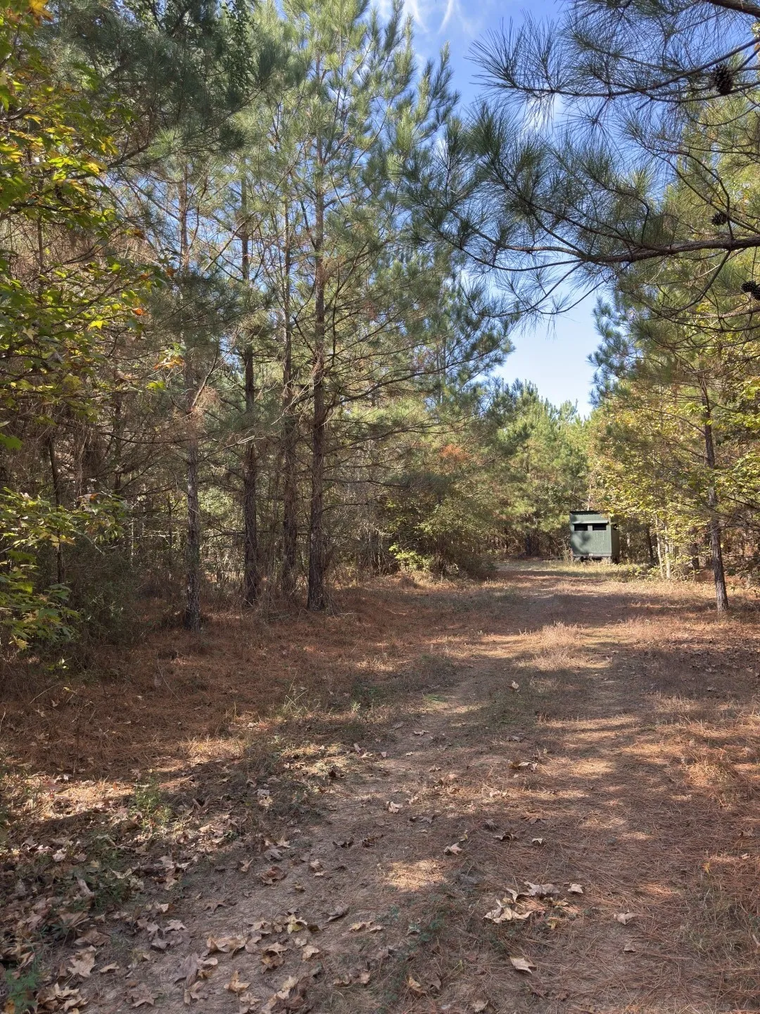 Unimproved Land For Sale in Harrison County , TBD-A Boggy Road, Waskom, Texas 75692, 0, 0, Garage spaces, 0 Sqft, built in 0, Price $425,425, mls#21112864, Real Estate Agent in Waskom, Homes For Sale in Harrison county, Homes For Sale in Waskom, Realtor in Waskom Texas, Real Estate Brokerage Independent Realty Texas, Luminita Cordes Realtor