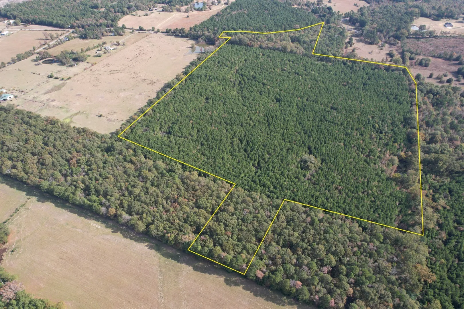 Unimproved Land For Sale in Harrison County , TBD-A Boggy Road, Waskom, Texas 75692, 0, 0, Garage spaces, 0 Sqft, built in 0, Price $425,425, mls#21112864, Real Estate Agent in Waskom, Homes For Sale in Harrison county, Homes For Sale in Waskom, Realtor in Waskom Texas, Real Estate Brokerage Independent Realty Texas, Luminita Cordes Realtor