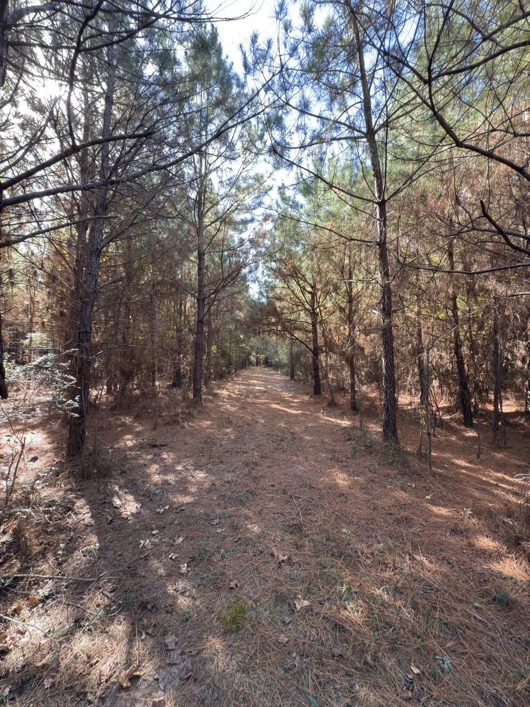 Unimproved Land For Sale in Harrison County , TBD-A Boggy Road, Waskom, Texas 75692, 0, 0, Garage spaces, 0 Sqft, built in 0, Price $425,425, mls#21112864, Real Estate Agent in Waskom, Homes For Sale in Harrison county, Homes For Sale in Waskom, Realtor in Waskom Texas, Real Estate Brokerage Independent Realty Texas, Luminita Cordes Realtor