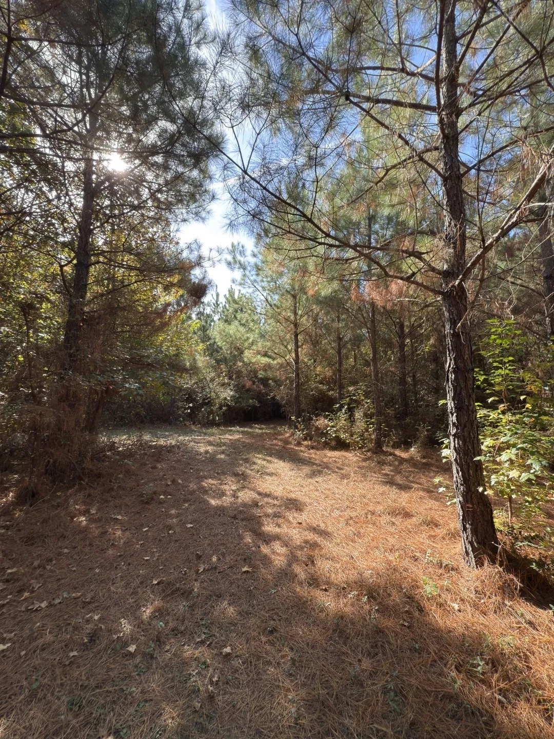 Unimproved Land For Sale in Harrison County , TBD-A Boggy Road, Waskom, Texas 75692, 0, 0, Garage spaces, 0 Sqft, built in 0, Price $425,425, mls#21112864, Real Estate Agent in Waskom, Homes For Sale in Harrison county, Homes For Sale in Waskom, Realtor in Waskom Texas, Real Estate Brokerage Independent Realty Texas, Luminita Cordes Realtor
