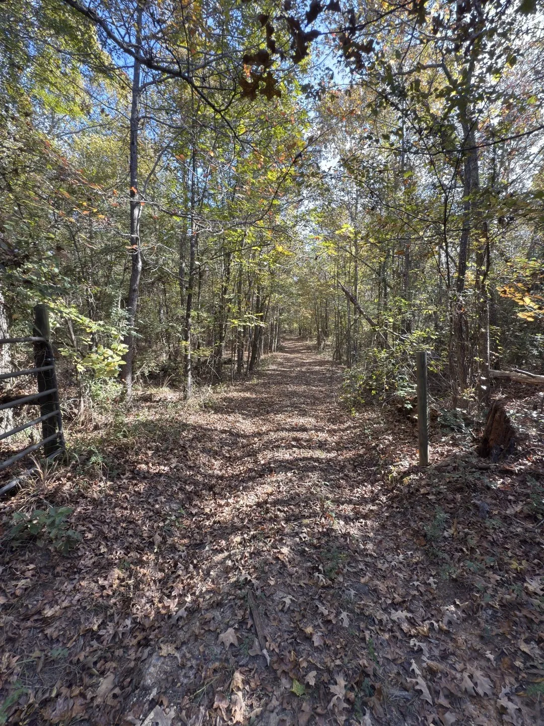 Unimproved Land For Sale in Harrison County , TBD-A Boggy Road, Waskom, Texas 75692, 0, 0, Garage spaces, 0 Sqft, built in 0, Price $425,425, mls#21112864, Real Estate Agent in Waskom, Homes For Sale in Harrison county, Homes For Sale in Waskom, Realtor in Waskom Texas, Real Estate Brokerage Independent Realty Texas, Luminita Cordes Realtor
