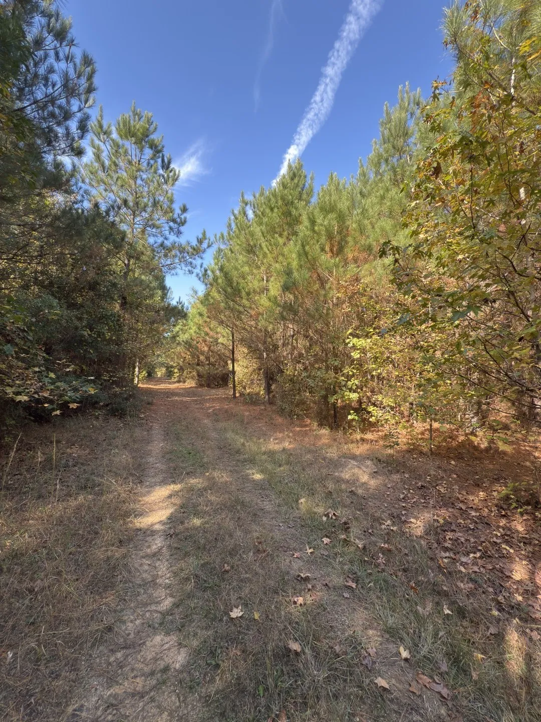 Unimproved Land For Sale in Harrison County , TBD-A Boggy Road, Waskom, Texas 75692, 0, 0, Garage spaces, 0 Sqft, built in 0, Price $425,425, mls#21112864, Real Estate Agent in Waskom, Homes For Sale in Harrison county, Homes For Sale in Waskom, Realtor in Waskom Texas, Real Estate Brokerage Independent Realty Texas, Luminita Cordes Realtor