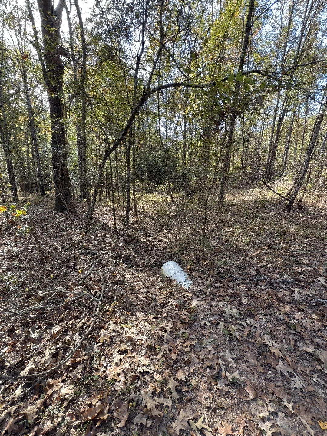 Unimproved Land For Sale in Harrison County , TBD-A Boggy Road, Waskom, Texas 75692, 0, 0, Garage spaces, 0 Sqft, built in 0, Price $425,425, mls#21112864, Real Estate Agent in Waskom, Homes For Sale in Harrison county, Homes For Sale in Waskom, Realtor in Waskom Texas, Real Estate Brokerage Independent Realty Texas, Luminita Cordes Realtor