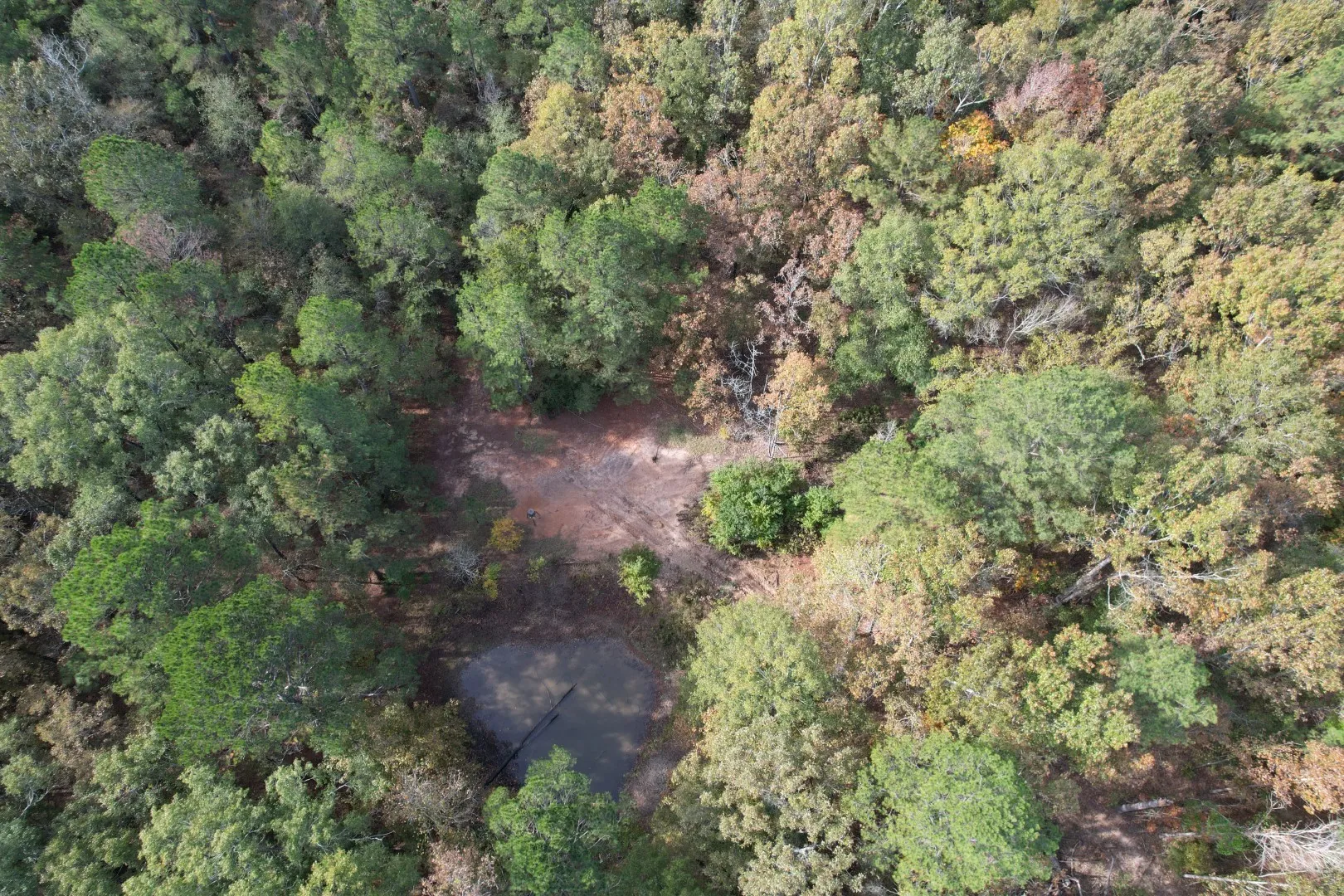 Unimproved Land For Sale in Harrison County , TBD-A Boggy Road, Waskom, Texas 75692, 0, 0, Garage spaces, 0 Sqft, built in 0, Price $425,425, mls#21112864, Real Estate Agent in Waskom, Homes For Sale in Harrison county, Homes For Sale in Waskom, Realtor in Waskom Texas, Real Estate Brokerage Independent Realty Texas, Luminita Cordes Realtor