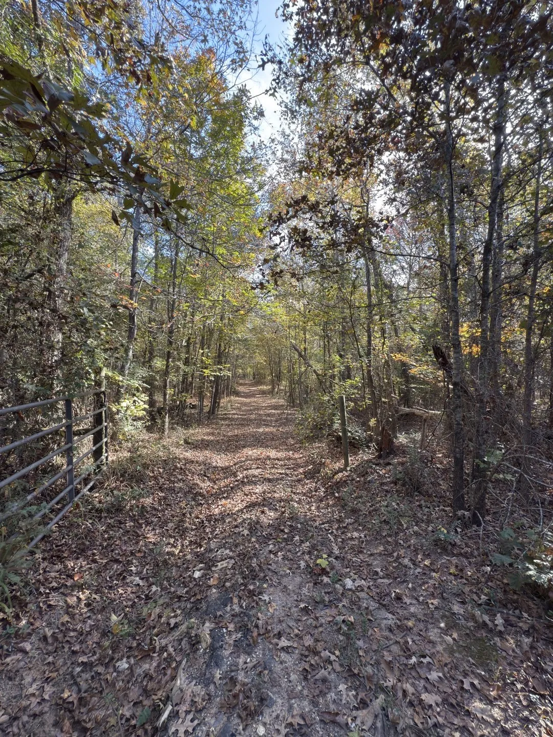 Unimproved Land For Sale in Harrison County , TBD-A Boggy Road, Waskom, Texas 75692, 0, 0, Garage spaces, 0 Sqft, built in 0, Price $425,425, mls#21112864, Real Estate Agent in Waskom, Homes For Sale in Harrison county, Homes For Sale in Waskom, Realtor in Waskom Texas, Real Estate Brokerage Independent Realty Texas, Luminita Cordes Realtor