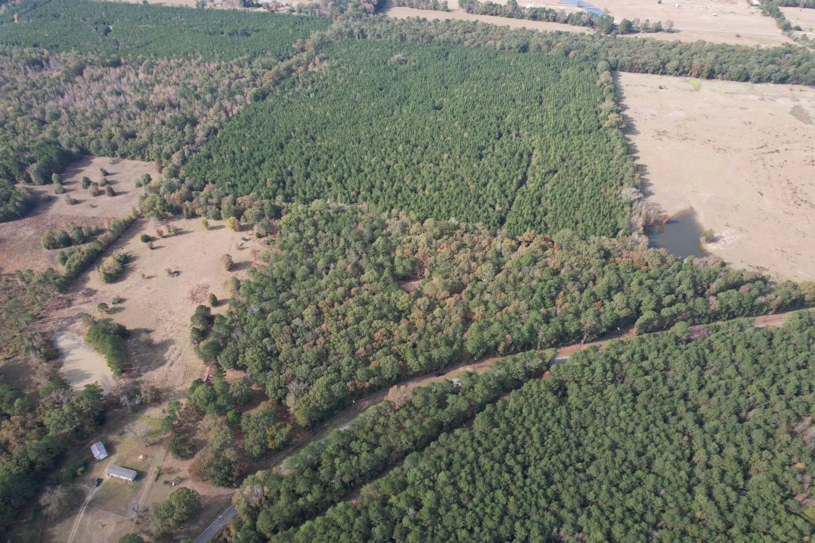Unimproved Land For Sale in Harrison County , TBD-A Boggy Road, Waskom, Texas 75692, 0, 0, Garage spaces, 0 Sqft, built in 0, Price $425,425, mls#21112864, Real Estate Agent in Waskom, Homes For Sale in Harrison county, Homes For Sale in Waskom, Realtor in Waskom Texas, Real Estate Brokerage Independent Realty Texas, Luminita Cordes Realtor