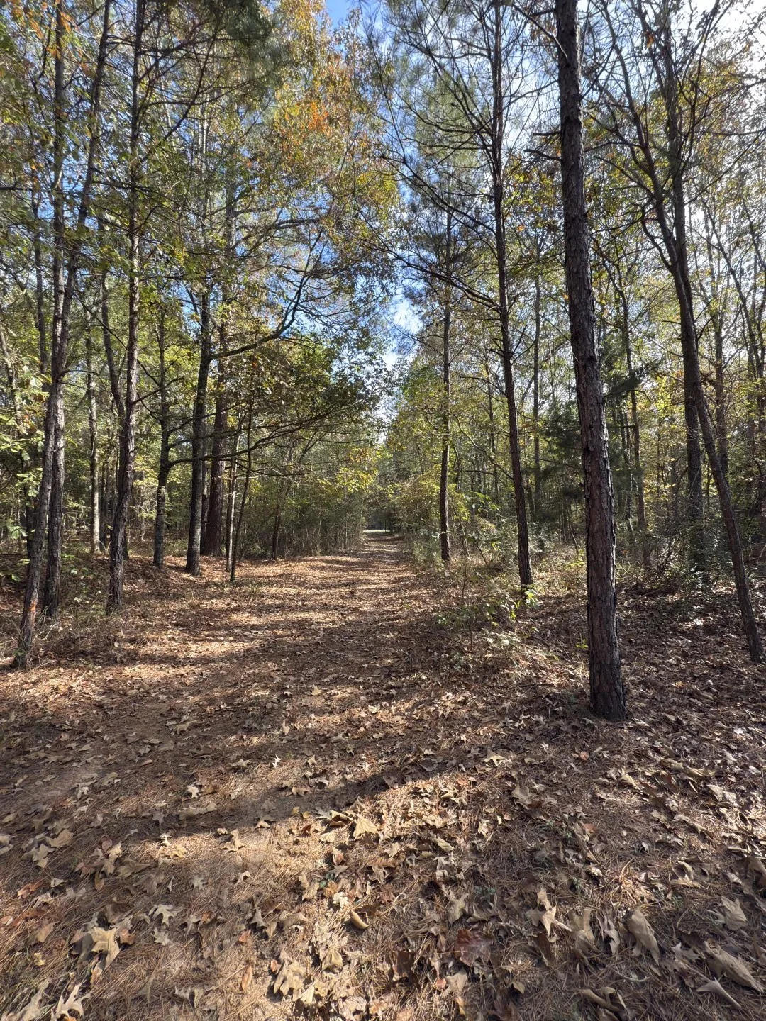 Unimproved Land For Sale in Harrison County , TBD-A Boggy Road, Waskom, Texas 75692, 0, 0, Garage spaces, 0 Sqft, built in 0, Price $425,425, mls#21112864, Real Estate Agent in Waskom, Homes For Sale in Harrison county, Homes For Sale in Waskom, Realtor in Waskom Texas, Real Estate Brokerage Independent Realty Texas, Luminita Cordes Realtor