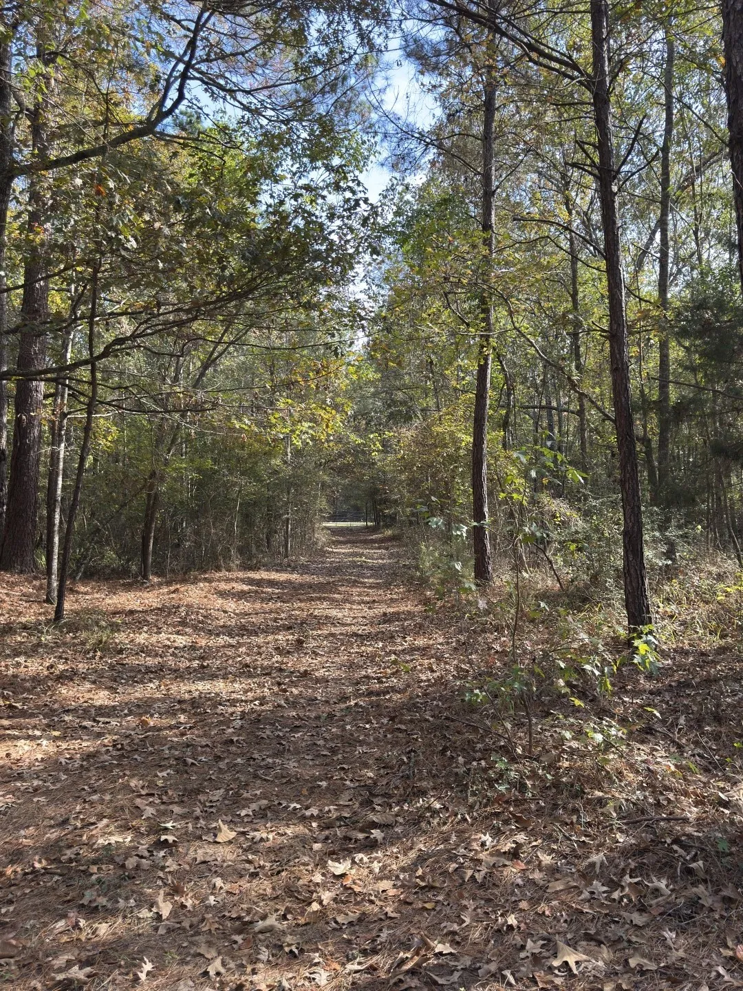 Unimproved Land For Sale in Harrison County , TBD-A Boggy Road, Waskom, Texas 75692, 0, 0, Garage spaces, 0 Sqft, built in 0, Price $425,425, mls#21112864, Real Estate Agent in Waskom, Homes For Sale in Harrison county, Homes For Sale in Waskom, Realtor in Waskom Texas, Real Estate Brokerage Independent Realty Texas, Luminita Cordes Realtor