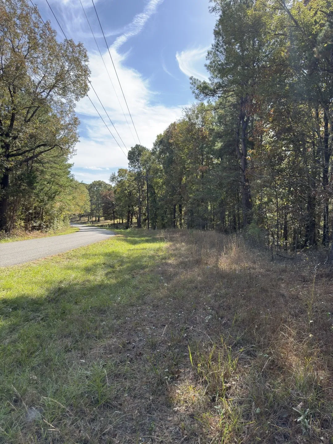 Unimproved Land For Sale in Harrison County , TBD-A Boggy Road, Waskom, Texas 75692, 0, 0, Garage spaces, 0 Sqft, built in 0, Price $425,425, mls#21112864, Real Estate Agent in Waskom, Homes For Sale in Harrison county, Homes For Sale in Waskom, Realtor in Waskom Texas, Real Estate Brokerage Independent Realty Texas, Luminita Cordes Realtor