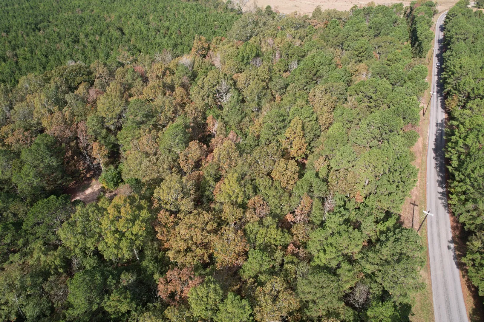 Unimproved Land For Sale in Harrison County , TBD-A Boggy Road, Waskom, Texas 75692, 0, 0, Garage spaces, 0 Sqft, built in 0, Price $425,425, mls#21112864, Real Estate Agent in Waskom, Homes For Sale in Harrison county, Homes For Sale in Waskom, Realtor in Waskom Texas, Real Estate Brokerage Independent Realty Texas, Luminita Cordes Realtor