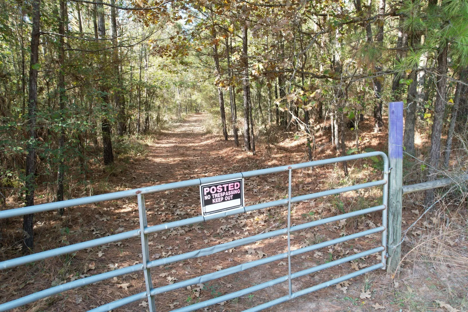 Unimproved Land For Sale in Harrison County , TBD-A Boggy Road, Waskom, Texas 75692, 0, 0, Garage spaces, 0 Sqft, built in 0, Price $425,425, mls#21112864, Real Estate Agent in Waskom, Homes For Sale in Harrison county, Homes For Sale in Waskom, Realtor in Waskom Texas, Real Estate Brokerage Independent Realty Texas, Luminita Cordes Realtor