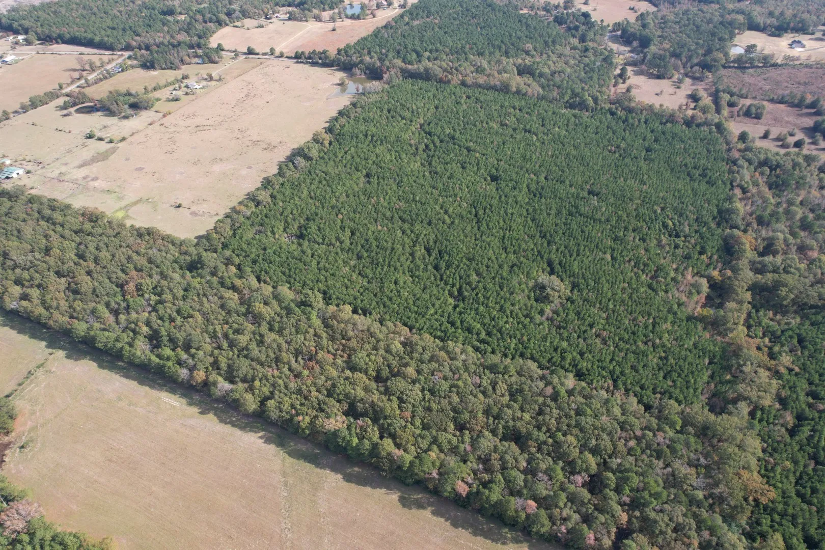 Unimproved Land For Sale in Harrison County , TBD-A Boggy Road, Waskom, Texas 75692, 0, 0, Garage spaces, 0 Sqft, built in 0, Price $425,425, mls#21112864, Real Estate Agent in Waskom, Homes For Sale in Harrison county, Homes For Sale in Waskom, Realtor in Waskom Texas, Real Estate Brokerage Independent Realty Texas, Luminita Cordes Realtor