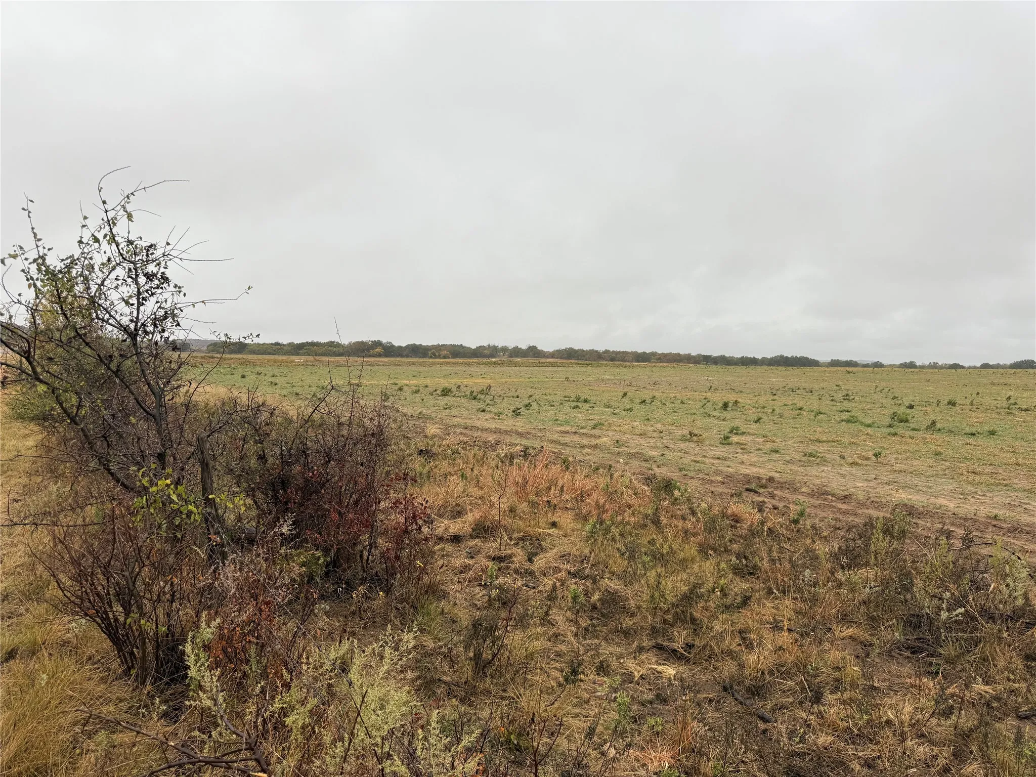 Unimproved Land For Sale in Callahan County , Tract 1 TBD FM 1178, Clyde, Texas 79510, 0, 0, Garage spaces, 0 Sqft, built in 0, mls#21112795, Real Estate Agent in Clyde, Homes For Sale in Callahan county, Homes For Sale in Clyde, Realtor in Clyde Texas, Real Estate Brokerage Independent Realty Texas, Luminita Cordes Realtor