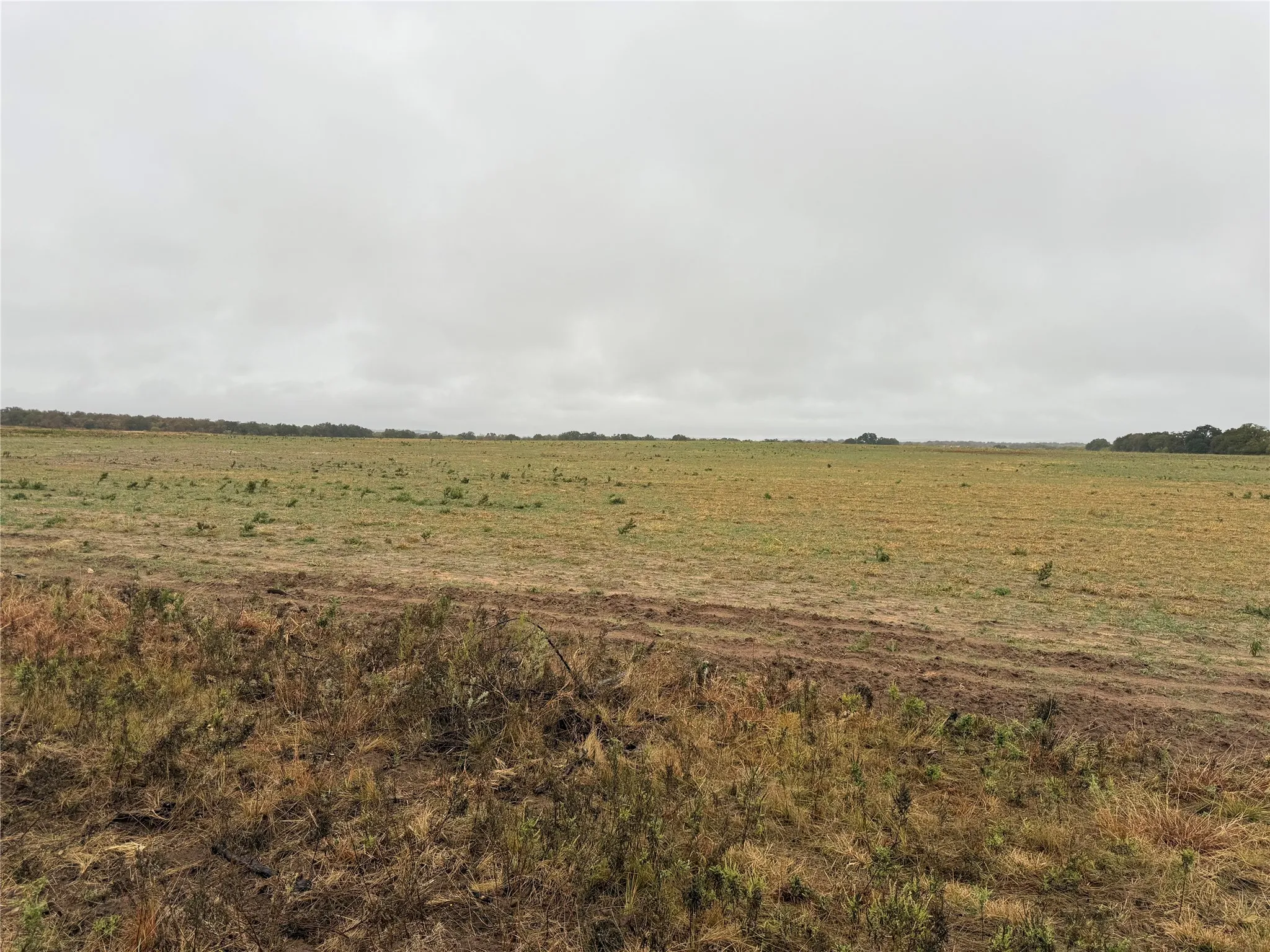 Unimproved Land For Sale in Callahan County , Tract 1 TBD FM 1178, Clyde, Texas 79510, 0, 0, Garage spaces, 0 Sqft, built in 0, mls#21112795, Real Estate Agent in Clyde, Homes For Sale in Callahan county, Homes For Sale in Clyde, Realtor in Clyde Texas, Real Estate Brokerage Independent Realty Texas, Luminita Cordes Realtor