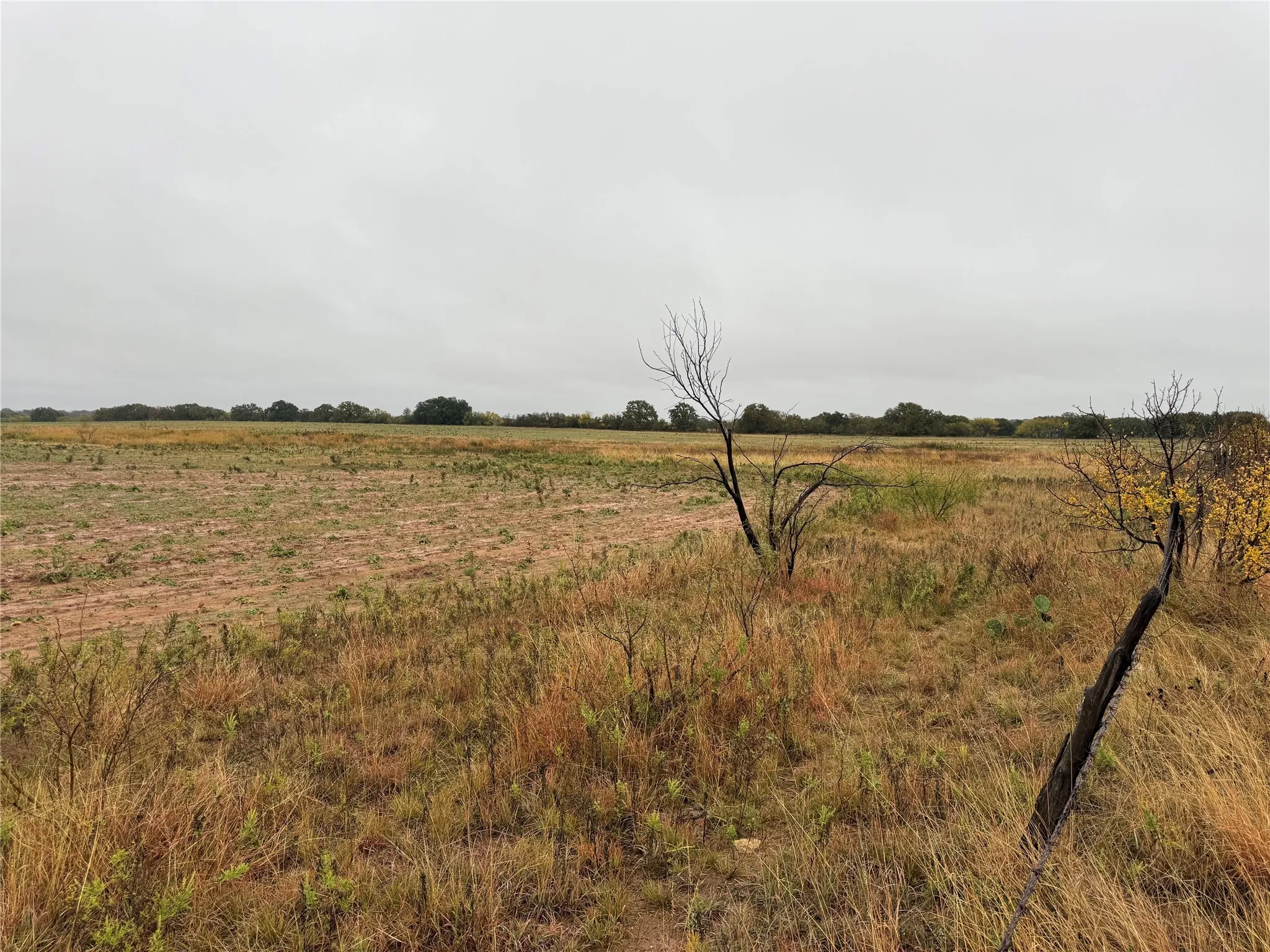 Unimproved Land For Sale in Callahan County , Tract 1 TBD FM 1178, Clyde, Texas 79510, 0, 0, Garage spaces, 0 Sqft, built in 0, mls#21112795, Real Estate Agent in Clyde, Homes For Sale in Callahan county, Homes For Sale in Clyde, Realtor in Clyde Texas, Real Estate Brokerage Independent Realty Texas, Luminita Cordes Realtor