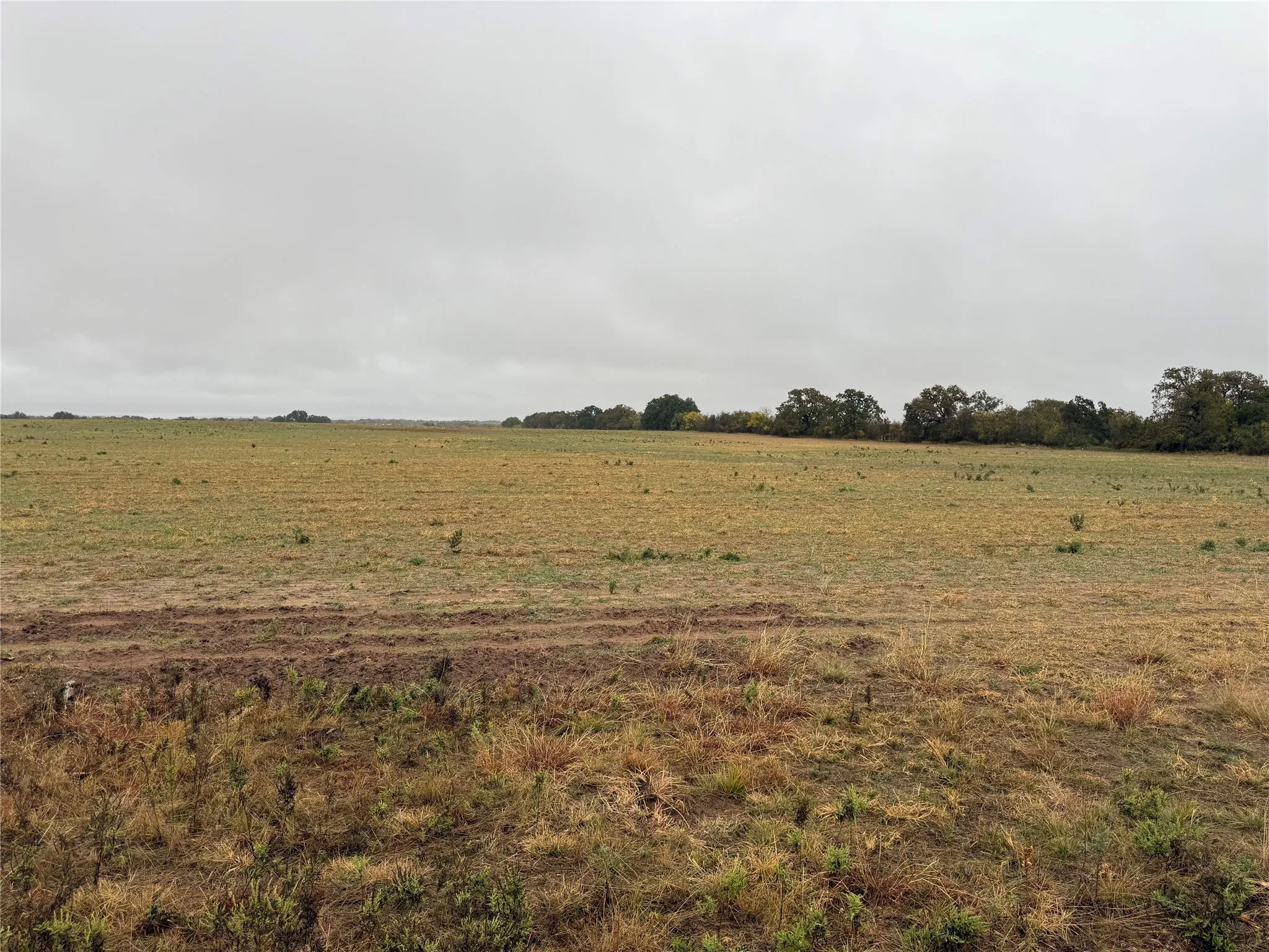 Unimproved Land For Sale in Callahan County , Tract 1 TBD FM 1178, Clyde, Texas 79510, 0, 0, Garage spaces, 0 Sqft, built in 0, mls#21112795, Real Estate Agent in Clyde, Homes For Sale in Callahan county, Homes For Sale in Clyde, Realtor in Clyde Texas, Real Estate Brokerage Independent Realty Texas, Luminita Cordes Realtor