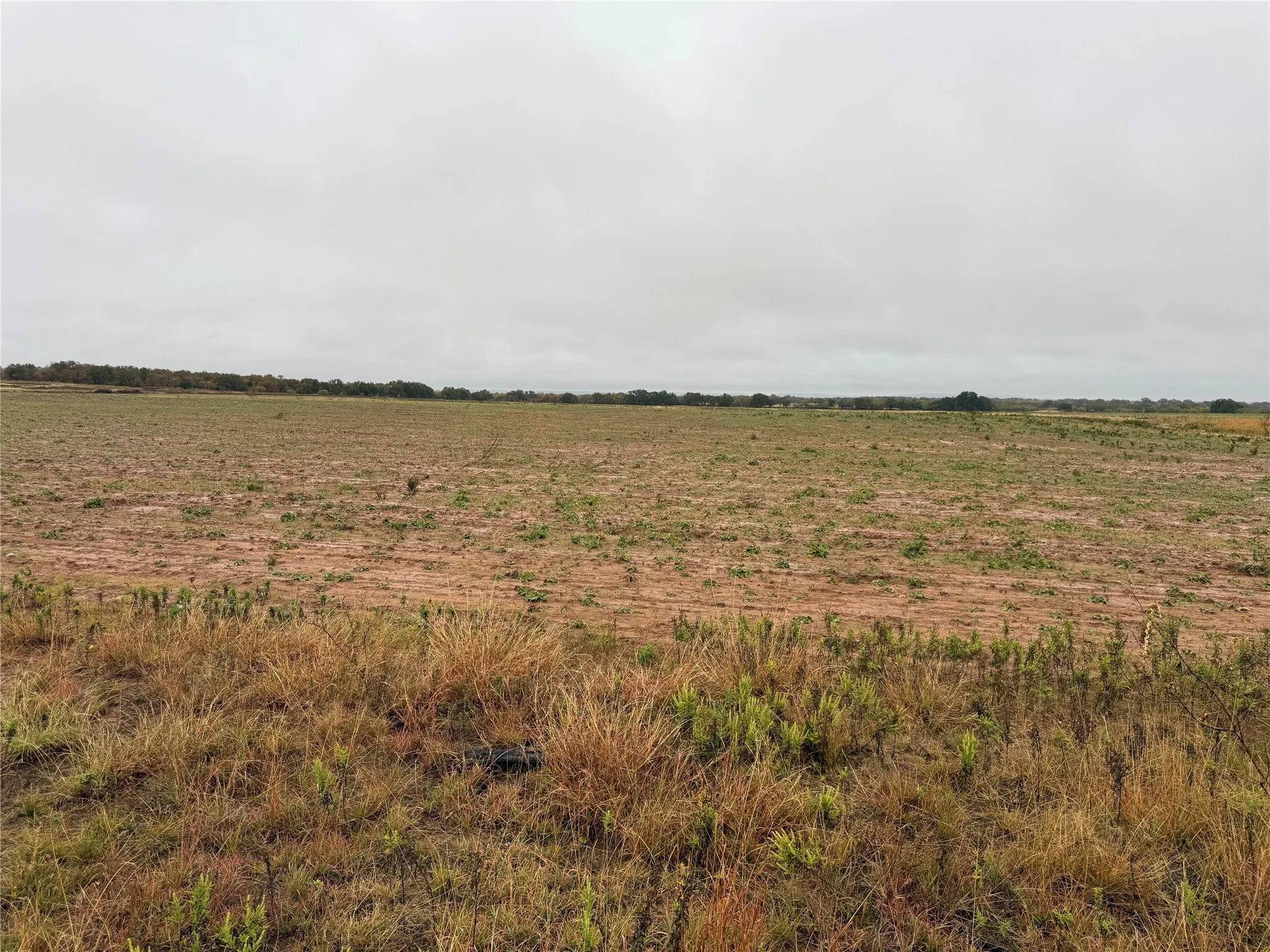 Unimproved Land For Sale in Callahan County , Tract 1 TBD FM 1178, Clyde, Texas 79510, 0, 0, Garage spaces, 0 Sqft, built in 0, mls#21112795, Real Estate Agent in Clyde, Homes For Sale in Callahan county, Homes For Sale in Clyde, Realtor in Clyde Texas, Real Estate Brokerage Independent Realty Texas, Luminita Cordes Realtor