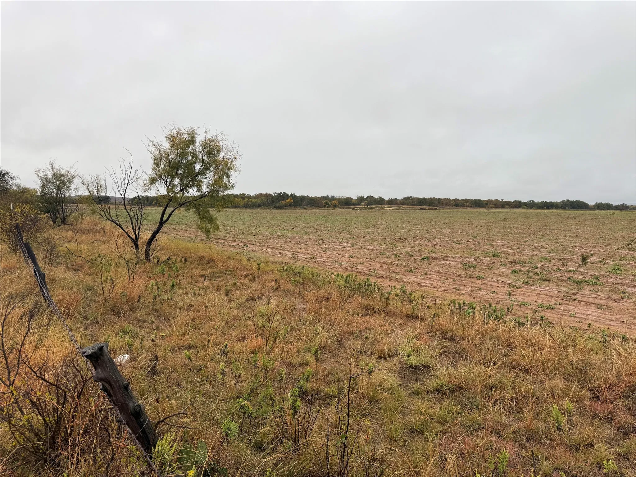 Unimproved Land For Sale in Callahan County , Tract 1 TBD FM 1178, Clyde, Texas 79510, 0, 0, Garage spaces, 0 Sqft, built in 0, mls#21112795, Real Estate Agent in Clyde, Homes For Sale in Callahan county, Homes For Sale in Clyde, Realtor in Clyde Texas, Real Estate Brokerage Independent Realty Texas, Luminita Cordes Realtor