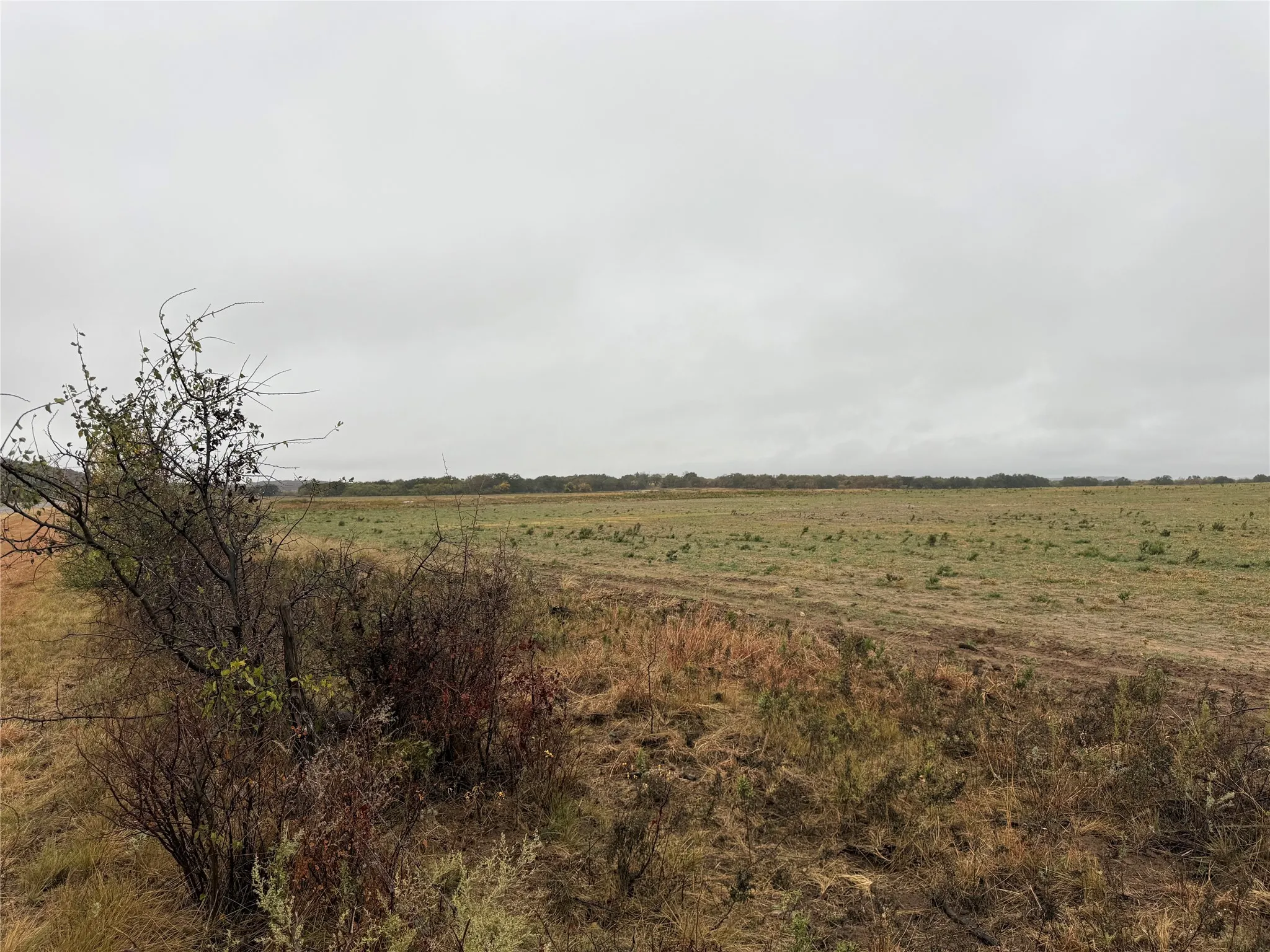 Unimproved Land For Sale in Callahan County , Tract 1 TBD FM 1178, Clyde, Texas 79510, 0, 0, Garage spaces, 0 Sqft, built in 0, mls#21112795, Real Estate Agent in Clyde, Homes For Sale in Callahan county, Homes For Sale in Clyde, Realtor in Clyde Texas, Real Estate Brokerage Independent Realty Texas, Luminita Cordes Realtor
