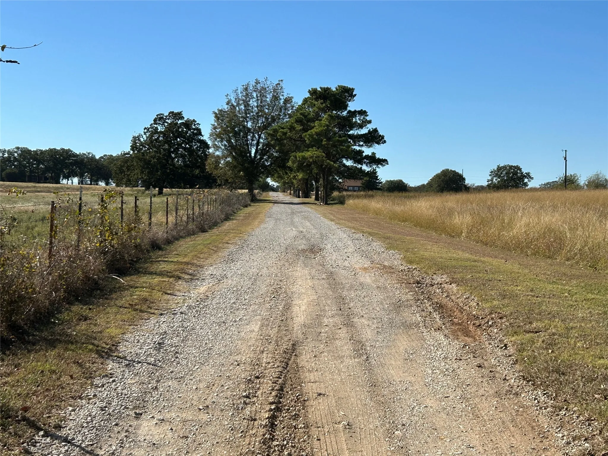 Entry lane to the ranch