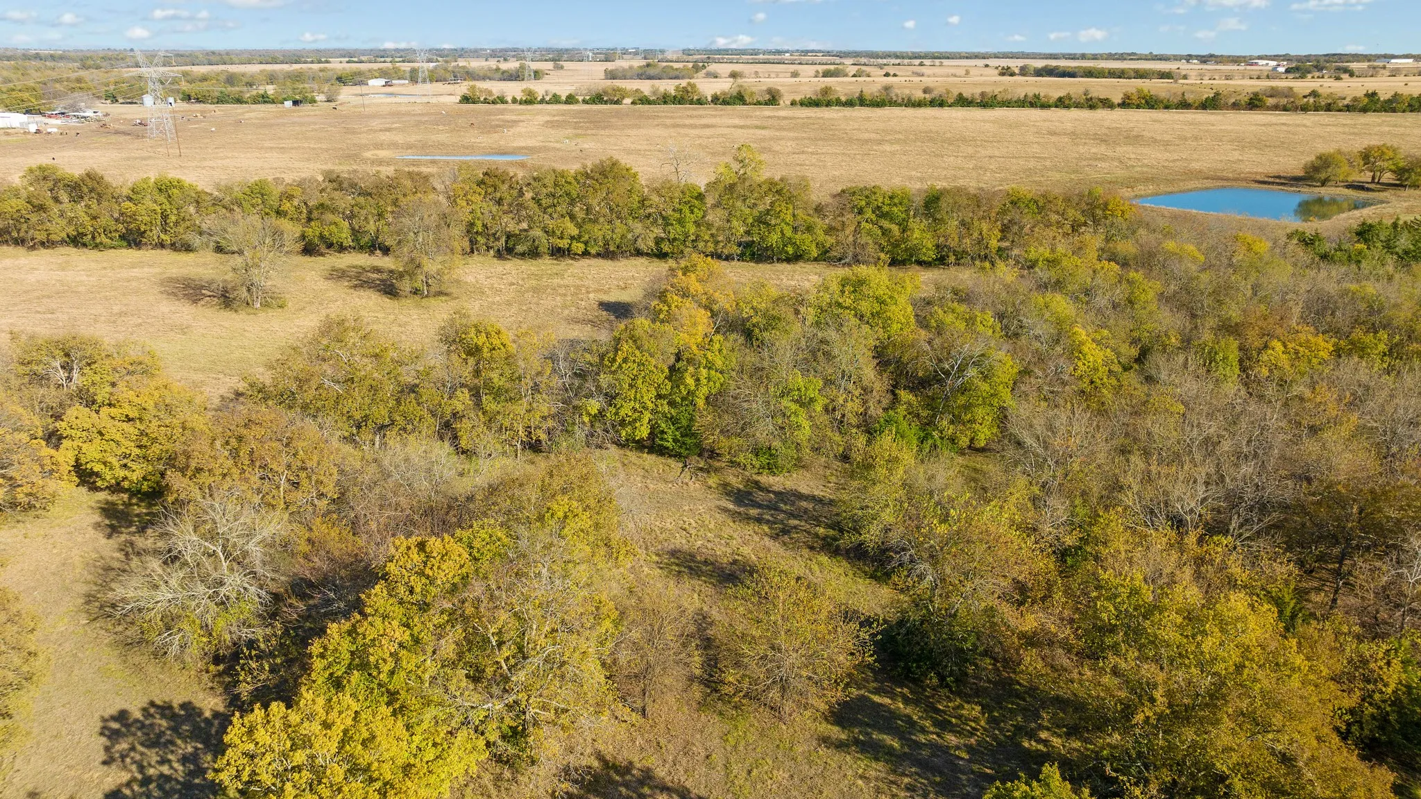 Improved Land For Sale in Lamar County , 000 CR 36010, Honey Grove, Texas 75446, 0, 0, Garage spaces, 0 Sqft, built in 0, mls#21111150, Real Estate Agent in Honey Grove, Homes For Sale in Lamar county, Homes For Sale in Honey Grove, Realtor in Honey Grove Texas, Real Estate Brokerage Independent Realty Texas, Luminita Cordes Realtor