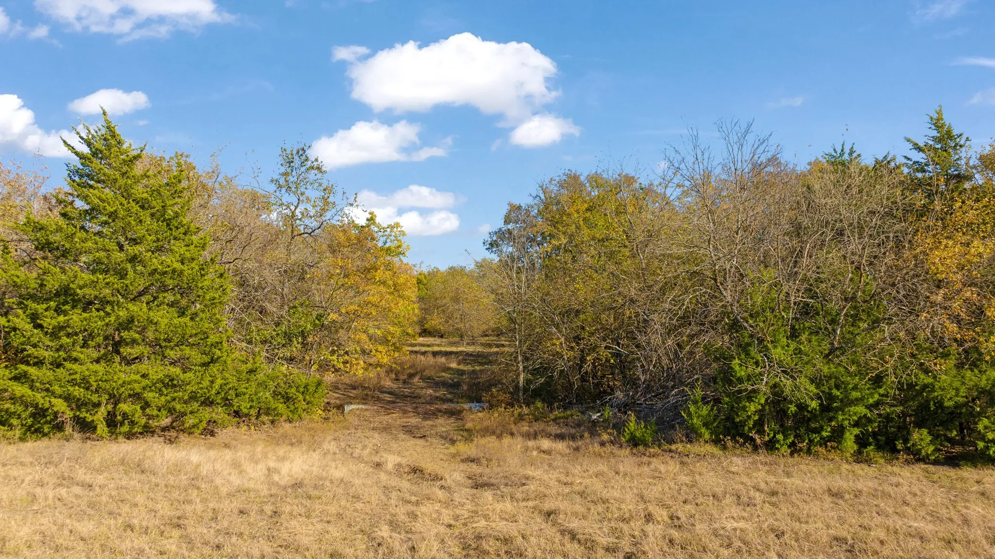 Improved Land For Sale in Lamar County , 000 CR 36010, Honey Grove, Texas 75446, 0, 0, Garage spaces, 0 Sqft, built in 0, mls#21111150, Real Estate Agent in Honey Grove, Homes For Sale in Lamar county, Homes For Sale in Honey Grove, Realtor in Honey Grove Texas, Real Estate Brokerage Independent Realty Texas, Luminita Cordes Realtor