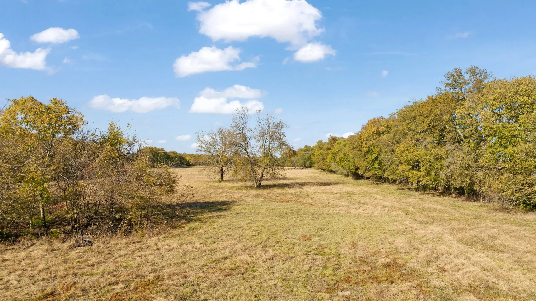 Improved Land For Sale in Lamar County , 000 CR 36010, Honey Grove, Texas 75446, 0, 0, Garage spaces, 0 Sqft, built in 0, mls#21111150, Real Estate Agent in Honey Grove, Homes For Sale in Lamar county, Homes For Sale in Honey Grove, Realtor in Honey Grove Texas, Real Estate Brokerage Independent Realty Texas, Luminita Cordes Realtor