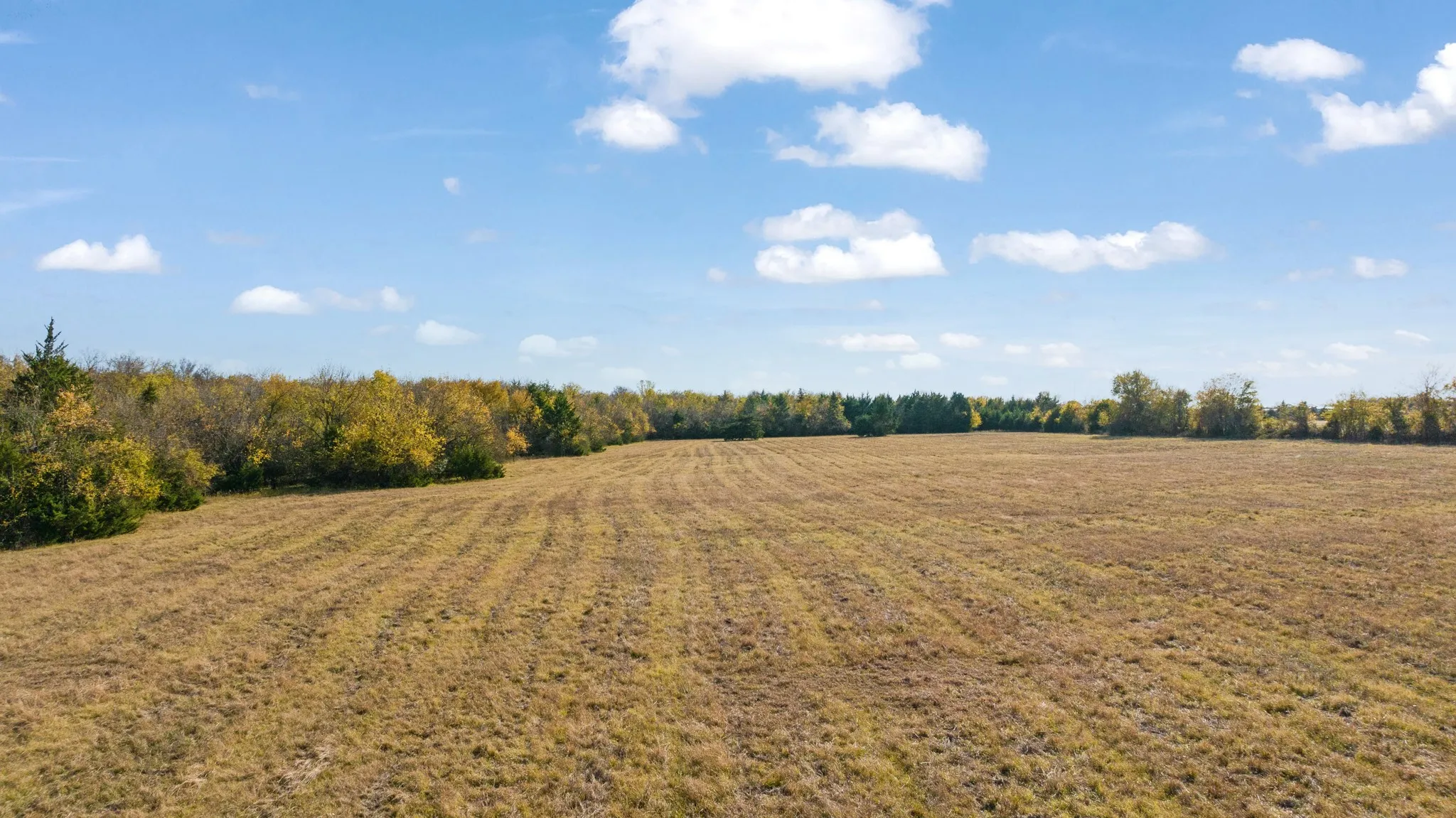 Improved Land For Sale in Lamar County , 000 CR 36010, Honey Grove, Texas 75446, 0, 0, Garage spaces, 0 Sqft, built in 0, mls#21111150, Real Estate Agent in Honey Grove, Homes For Sale in Lamar county, Homes For Sale in Honey Grove, Realtor in Honey Grove Texas, Real Estate Brokerage Independent Realty Texas, Luminita Cordes Realtor