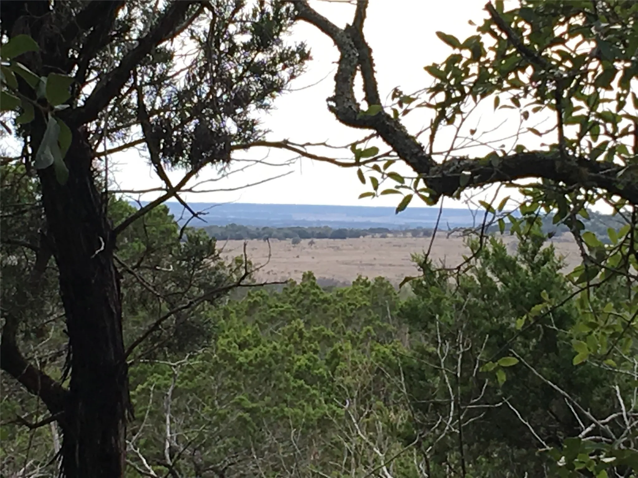 Unimproved Land For Sale in Johnson County , 6525 Archerfield Court W, Cleburne, Texas 76033, 0, 0, Garage spaces, 0 Sqft, built in 0, Price $61,900, mls#21113430, Real Estate Agent in Cleburne, Homes For Sale in Johnson county, Homes For Sale in Cleburne, Realtor in Cleburne Texas, Real Estate Brokerage Independent Realty Texas, Luminita Cordes Realtor