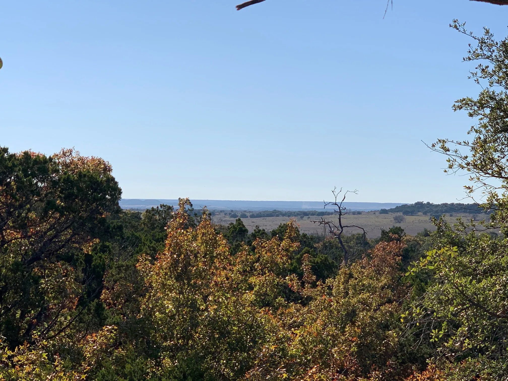 Unimproved Land For Sale in Johnson County , 6525 Archerfield Court W, Cleburne, Texas 76033, 0, 0, Garage spaces, 0 Sqft, built in 0, Price $61,900, mls#21113430, Real Estate Agent in Cleburne, Homes For Sale in Johnson county, Homes For Sale in Cleburne, Realtor in Cleburne Texas, Real Estate Brokerage Independent Realty Texas, Luminita Cordes Realtor
