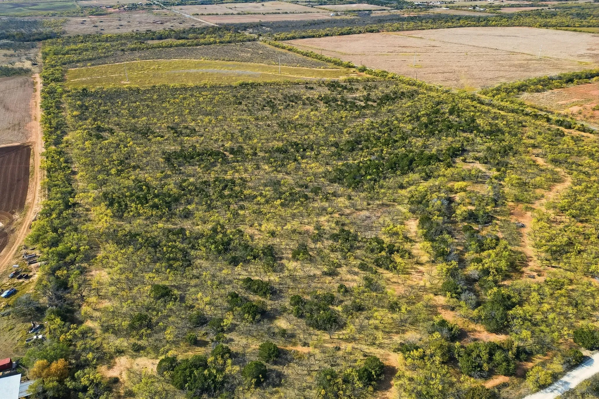 Unimproved Land For Sale in Taylor County , TBD 80 Acres CR 150, Tuscola, Texas 79562, 0, 0, Garage spaces, 0 Sqft, built in 0, Price $675,000, mls#21112798, Real Estate Agent in Tuscola, Homes For Sale in Taylor county, Homes For Sale in Tuscola, Realtor in Tuscola Texas, Real Estate Brokerage Independent Realty Texas, Luminita Cordes Realtor