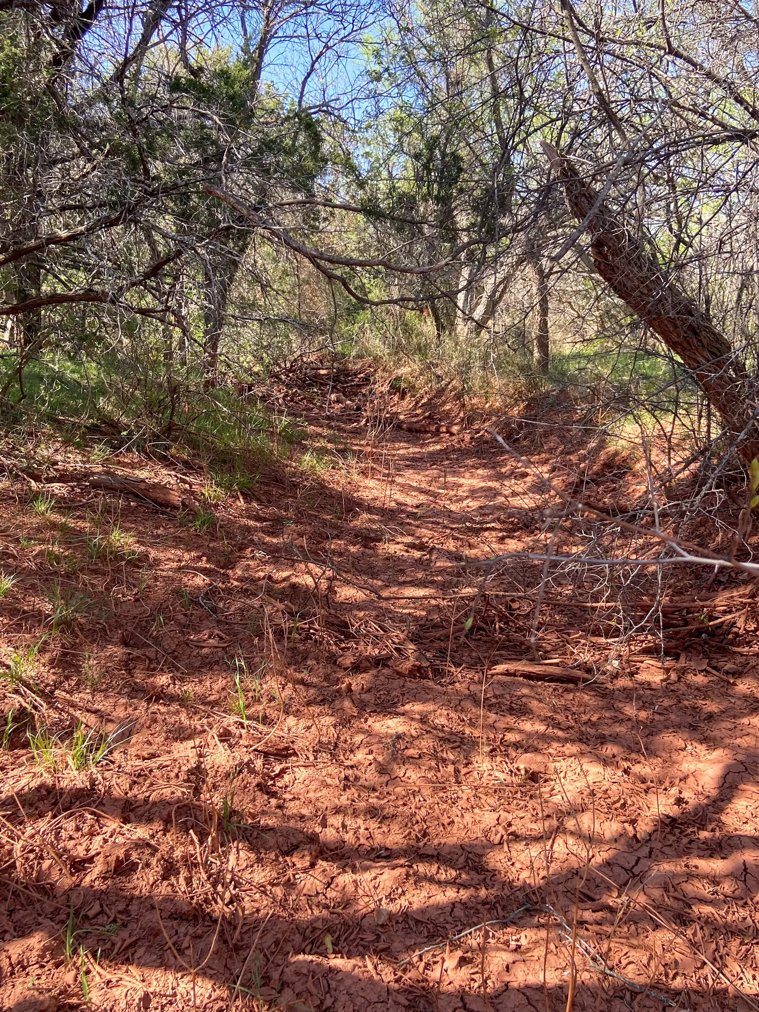 Unimproved Land For Sale in Taylor County , TBD 80 Acres CR 150, Tuscola, Texas 79562, 0, 0, Garage spaces, 0 Sqft, built in 0, Price $675,000, mls#21112798, Real Estate Agent in Tuscola, Homes For Sale in Taylor county, Homes For Sale in Tuscola, Realtor in Tuscola Texas, Real Estate Brokerage Independent Realty Texas, Luminita Cordes Realtor