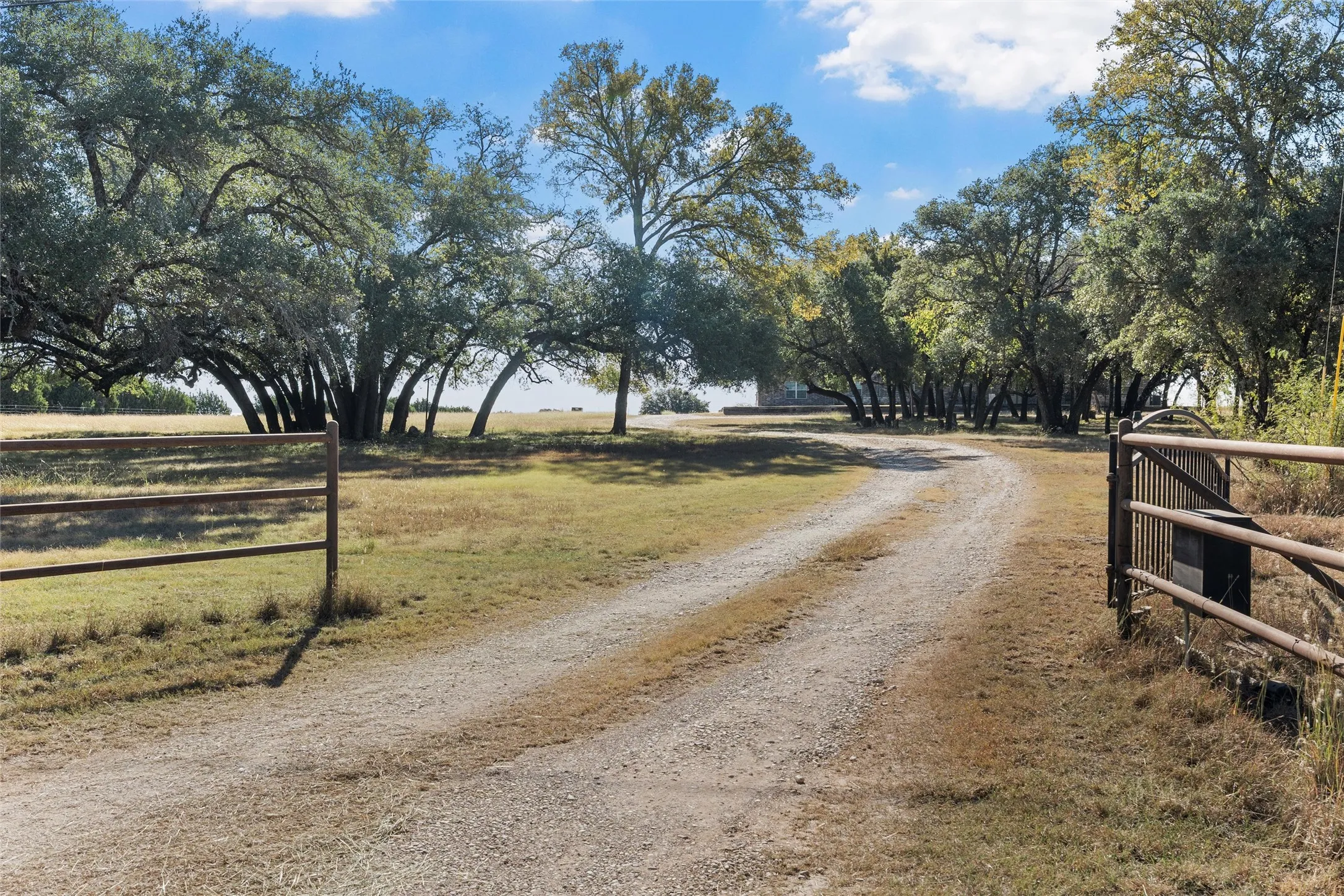 View of dirt / gravel driveway