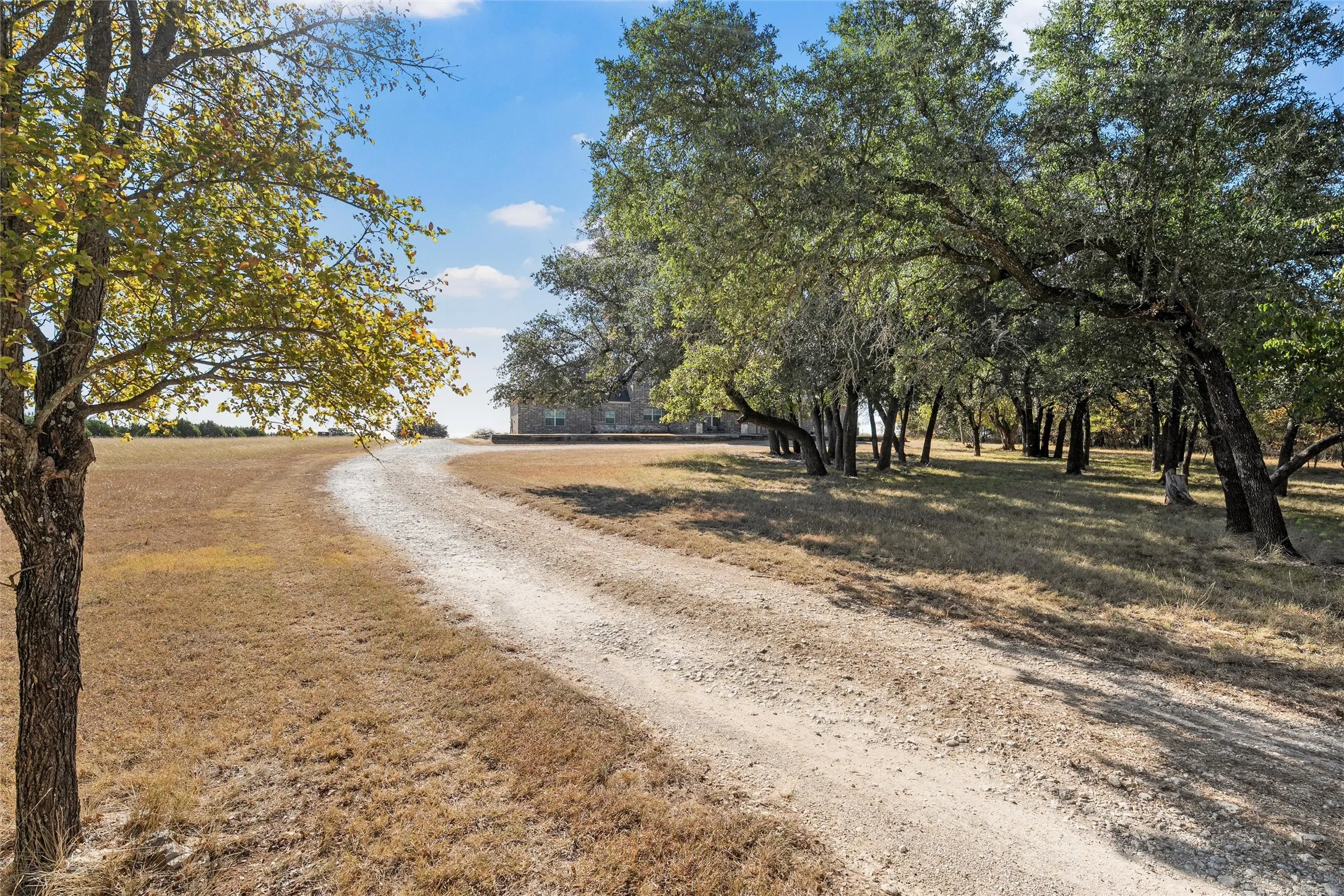 View of dirt / gravel road