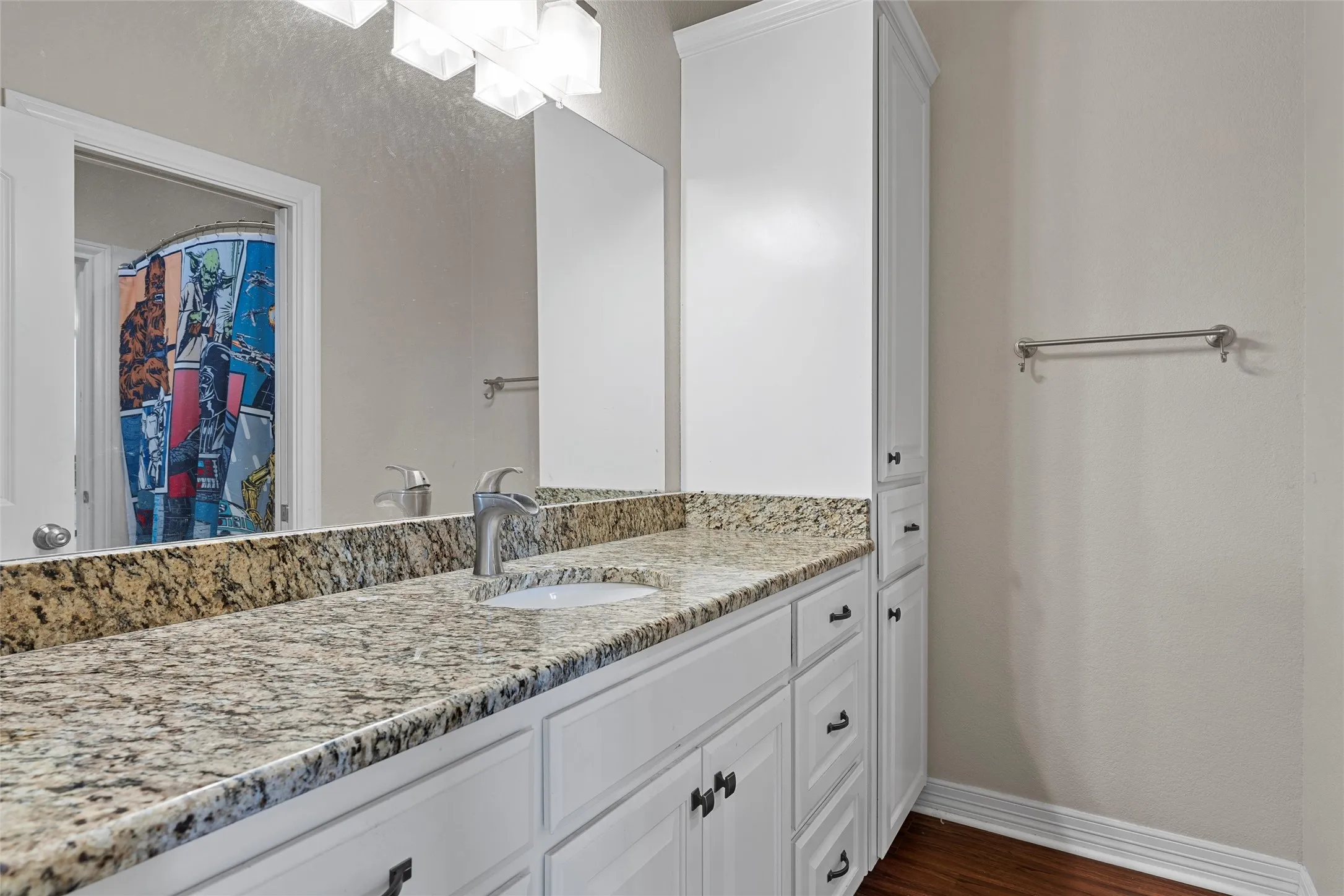 Full bath featuring vanity, dark wood-style floors, and curtained shower