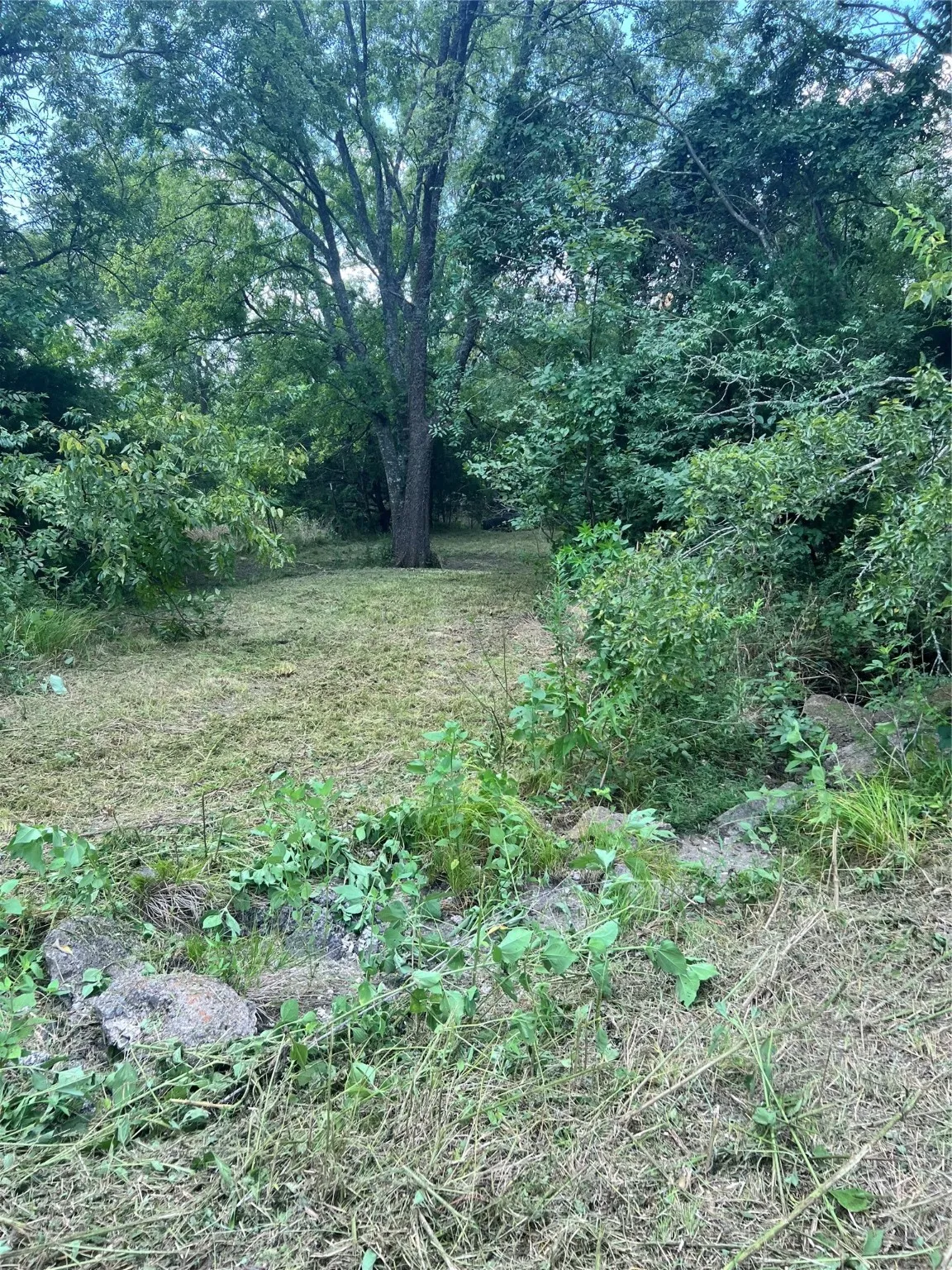 View of undeveloped land