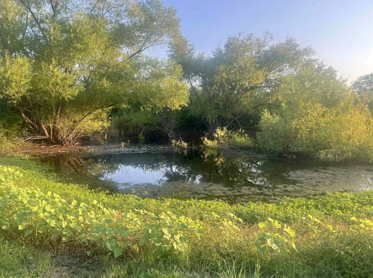 Water view