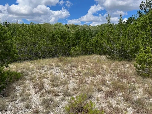 Unimproved Land For Sale in Comal County , 1396 Canyon Trace, Canyon Lake, Texas 78133, 0, 0, Garage spaces, 0 Sqft, built in 0, Price $70,000, mls#21113703, Real Estate Agent in Canyon Lake, Homes For Sale in Comal county, Homes For Sale in Canyon Lake, Realtor in Canyon Lake Texas, Real Estate Brokerage Independent Realty Texas, Luminita Cordes Realtor