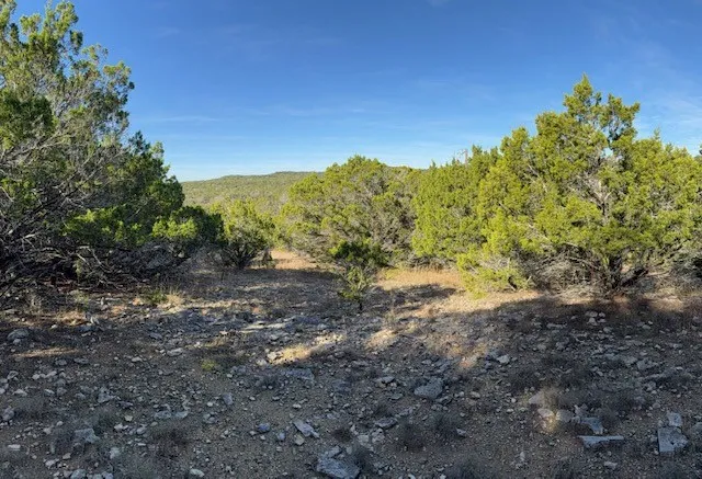 Unimproved Land For Sale in Comal County , 1396 Canyon Trace, Canyon Lake, Texas 78133, 0, 0, Garage spaces, 0 Sqft, built in 0, Price $70,000, mls#21113703, Real Estate Agent in Canyon Lake, Homes For Sale in Comal county, Homes For Sale in Canyon Lake, Realtor in Canyon Lake Texas, Real Estate Brokerage Independent Realty Texas, Luminita Cordes Realtor