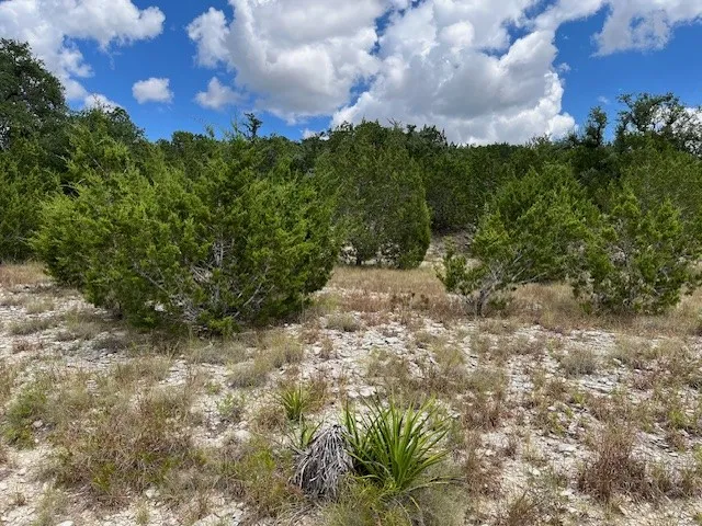 Unimproved Land For Sale in Comal County , 1396 Canyon Trace, Canyon Lake, Texas 78133, 0, 0, Garage spaces, 0 Sqft, built in 0, Price $70,000, mls#21113703, Real Estate Agent in Canyon Lake, Homes For Sale in Comal county, Homes For Sale in Canyon Lake, Realtor in Canyon Lake Texas, Real Estate Brokerage Independent Realty Texas, Luminita Cordes Realtor