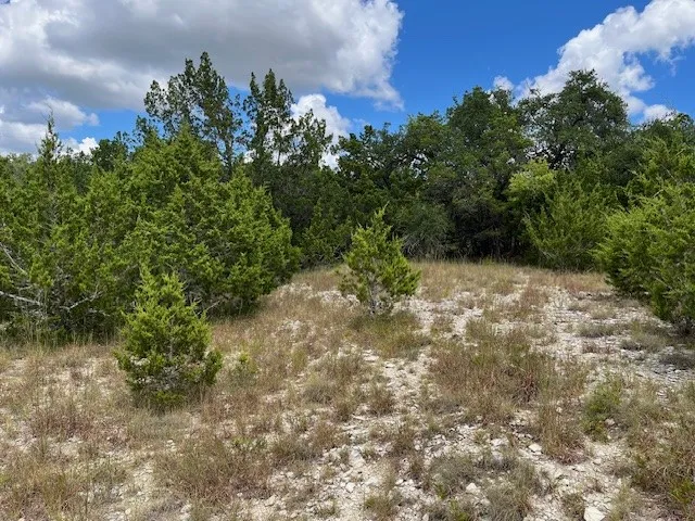 Unimproved Land For Sale in Comal County , 1396 Canyon Trace, Canyon Lake, Texas 78133, 0, 0, Garage spaces, 0 Sqft, built in 0, Price $70,000, mls#21113703, Real Estate Agent in Canyon Lake, Homes For Sale in Comal county, Homes For Sale in Canyon Lake, Realtor in Canyon Lake Texas, Real Estate Brokerage Independent Realty Texas, Luminita Cordes Realtor
