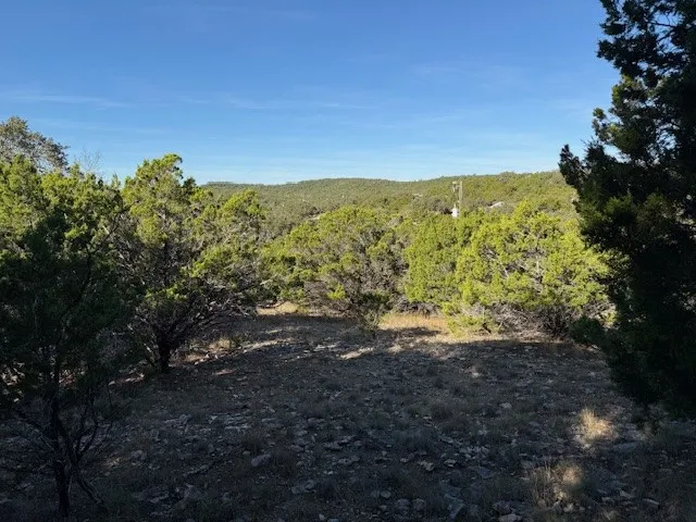 Unimproved Land For Sale in Comal County , 1396 Canyon Trace, Canyon Lake, Texas 78133, 0, 0, Garage spaces, 0 Sqft, built in 0, Price $70,000, mls#21113703, Real Estate Agent in Canyon Lake, Homes For Sale in Comal county, Homes For Sale in Canyon Lake, Realtor in Canyon Lake Texas, Real Estate Brokerage Independent Realty Texas, Luminita Cordes Realtor