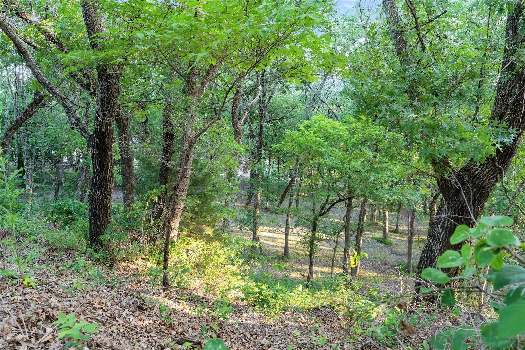 Private Park Setting with Hundreds of Mature Trees such as Pecan, Ash, Elm, &amp; Oak. Unlike Any Property on the Market. Stunning!